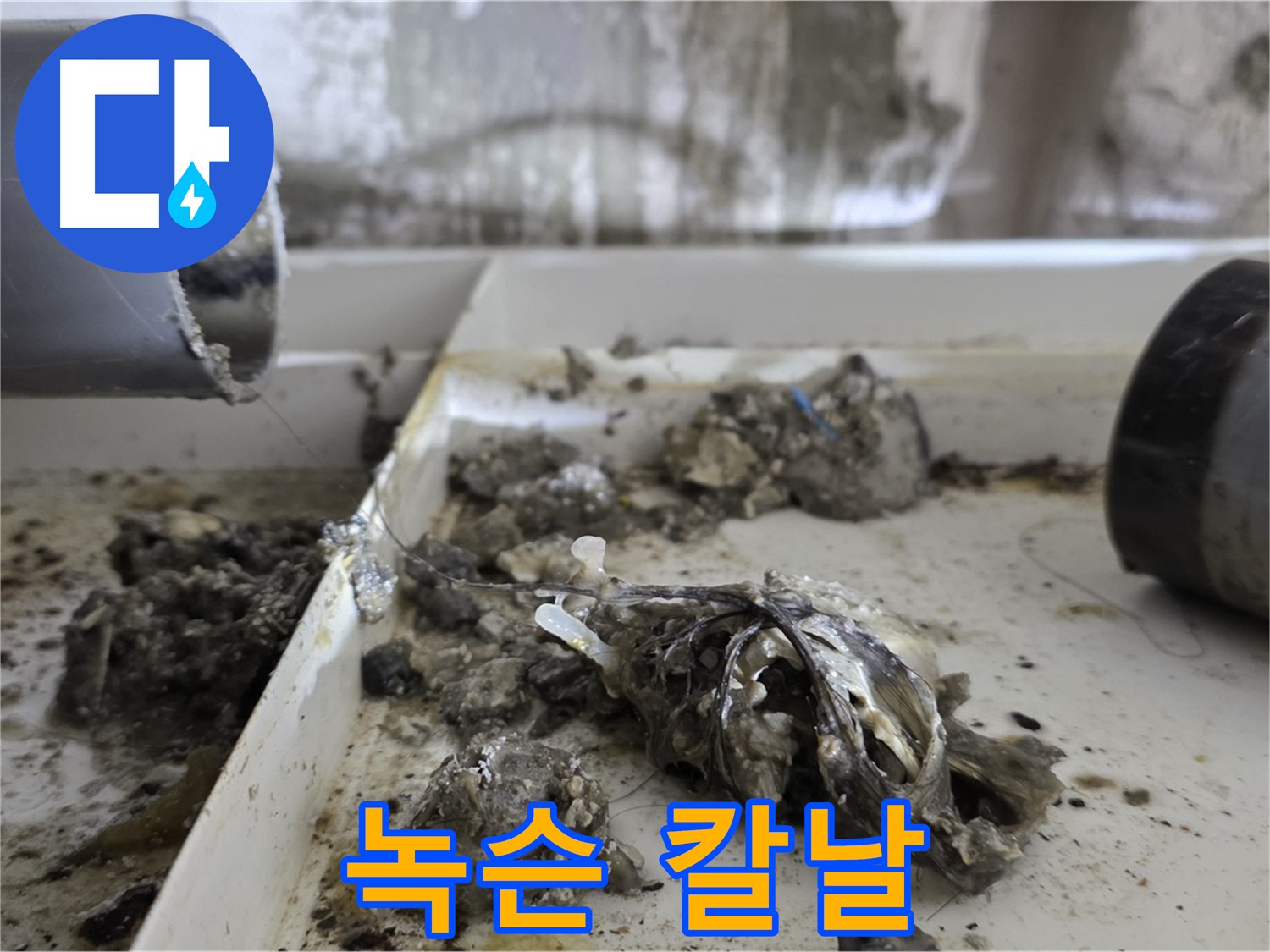 노원구 중계동 라이프청구신동아아파트 - 배관 속 녹슨 칼날 발견 - 누수 위험