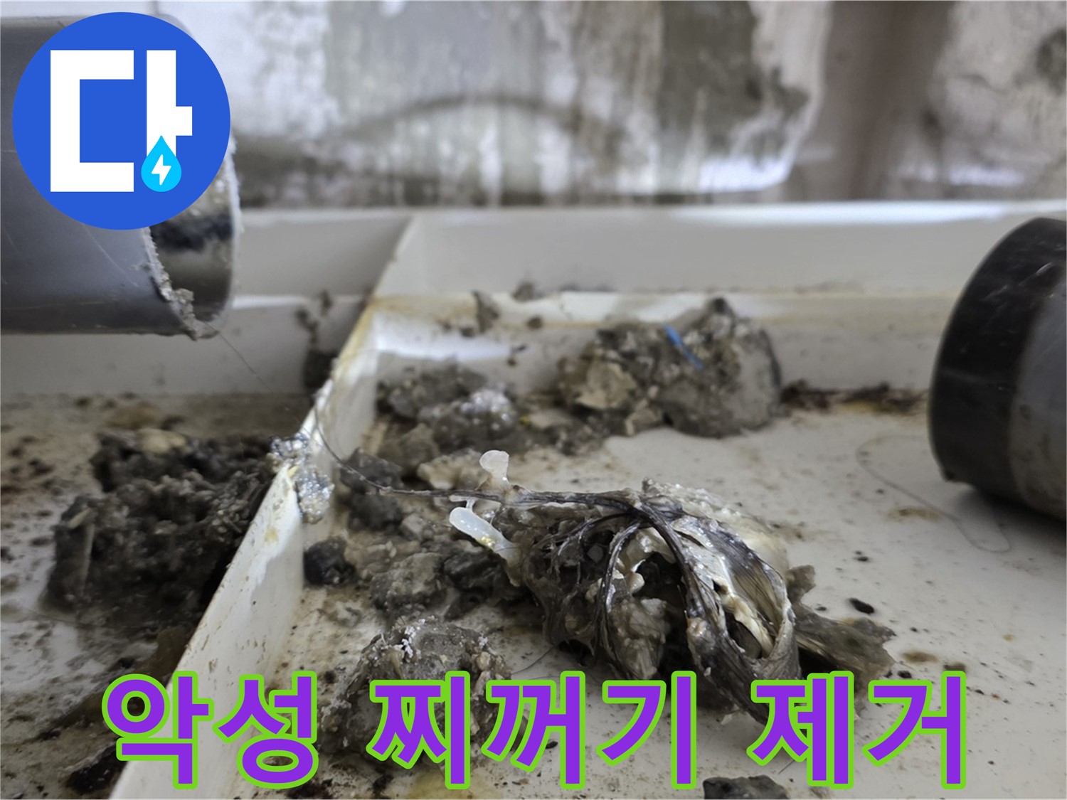 노원구 중계동 라이프청구신동아아파트 - 배관 속 악성 찌꺼기 제거 - 누수 종결
