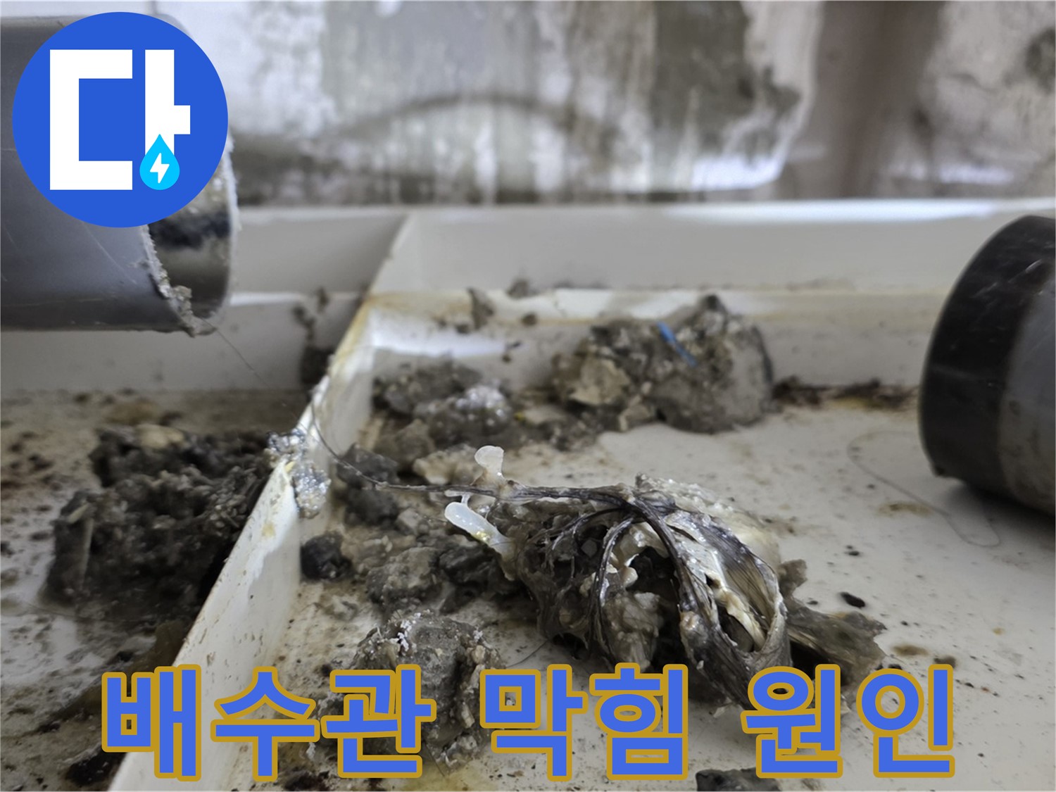 노원구 중계동 라이프청구신동아아파트 - 배수관 막힘이 누수의 시작