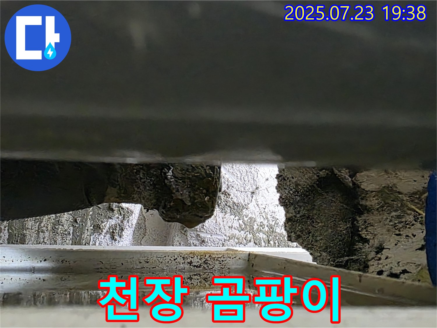 중계2동 라이프청구신동아 아파트 누수 - 천장 누수로 인해 곰팡이가 발생했습니다.