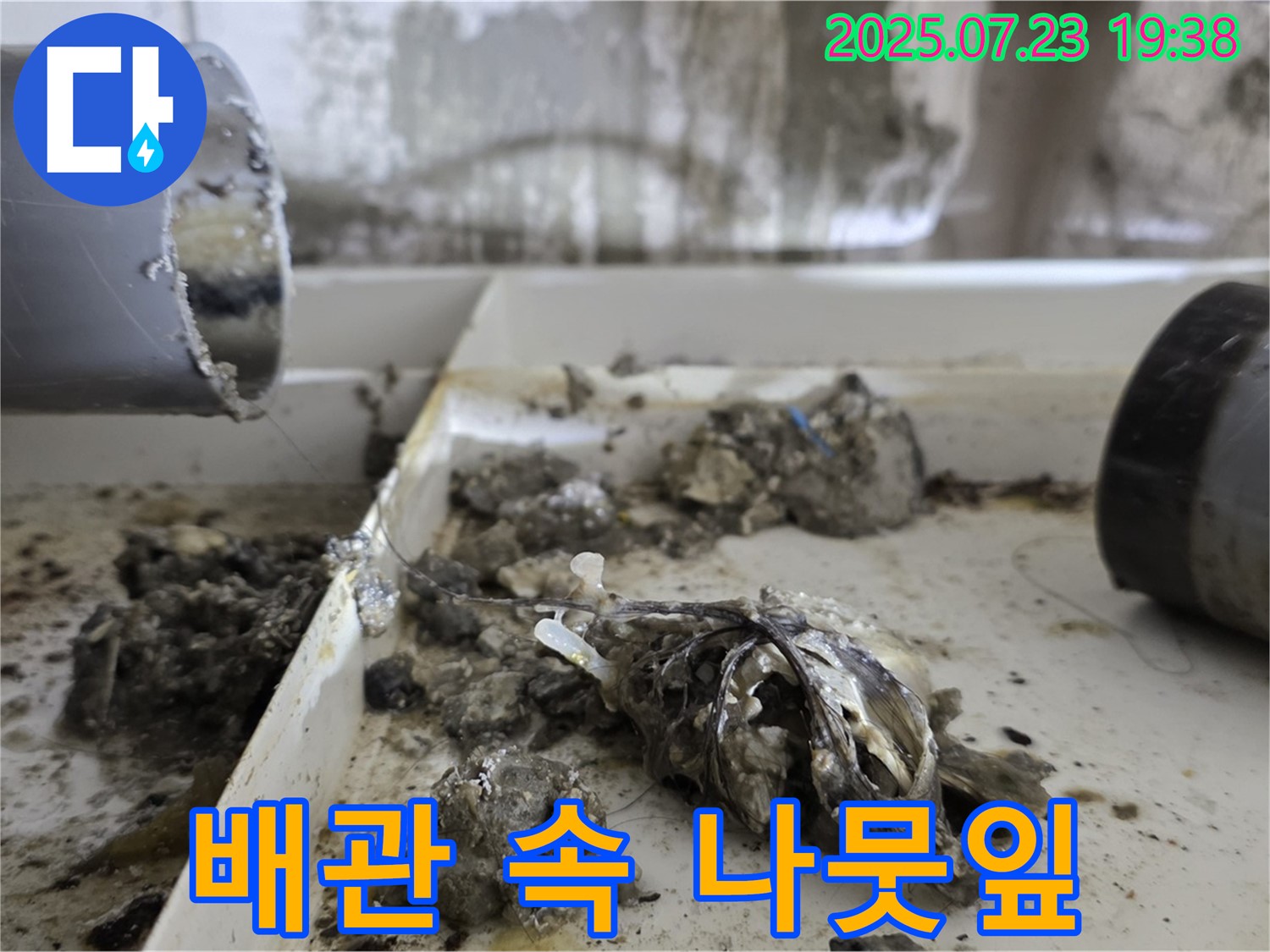 중계동 라이프청구신동아 아파트 누수 - 배관 속 나뭇잎을 제거하여 배수 흐름을 개선했습니다.