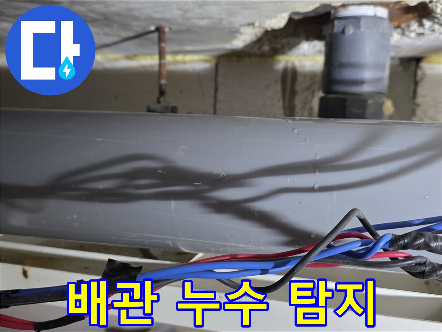 중계동 라이프청구신동아 아파트 배관 누수 탐지 - 노원구 누수 탐지 전문 기술로 정확하게 찾아냅니다.