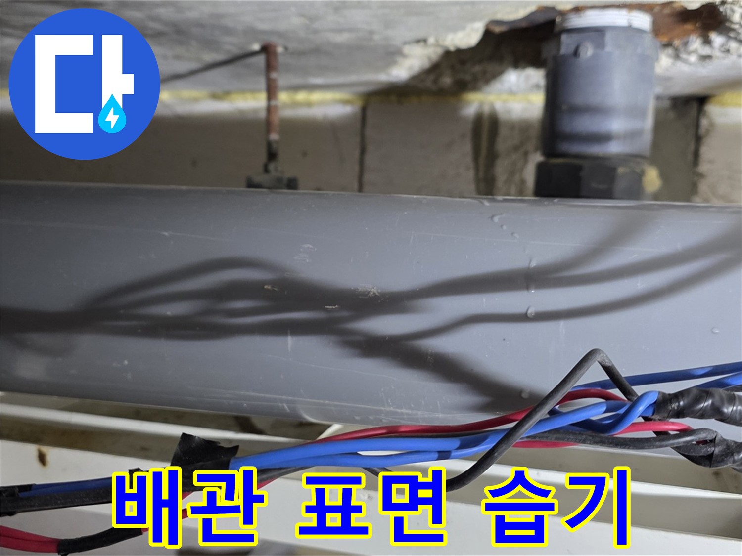 중계동 라이프청구신동아 아파트 배관 표면 습기 - 누수? 결로? 긴급 확인!