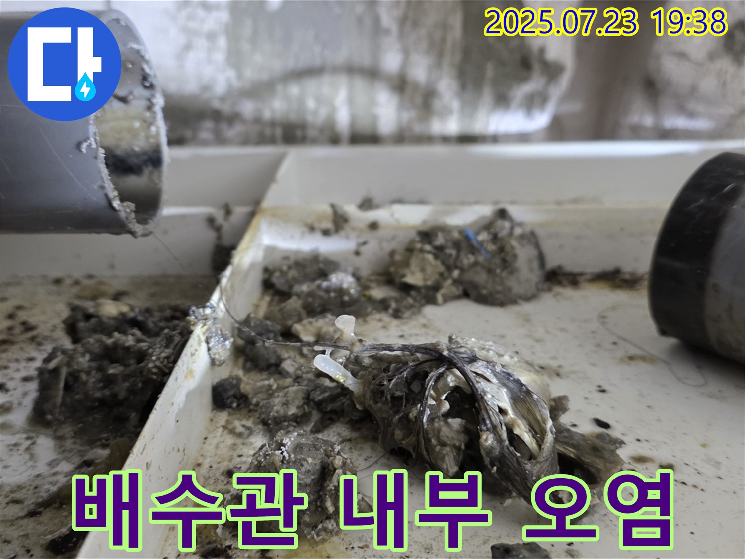 중계동 라이프청구신동아 아파트 - 배수관 내부 오염 상태, 찌든 때와 기름때