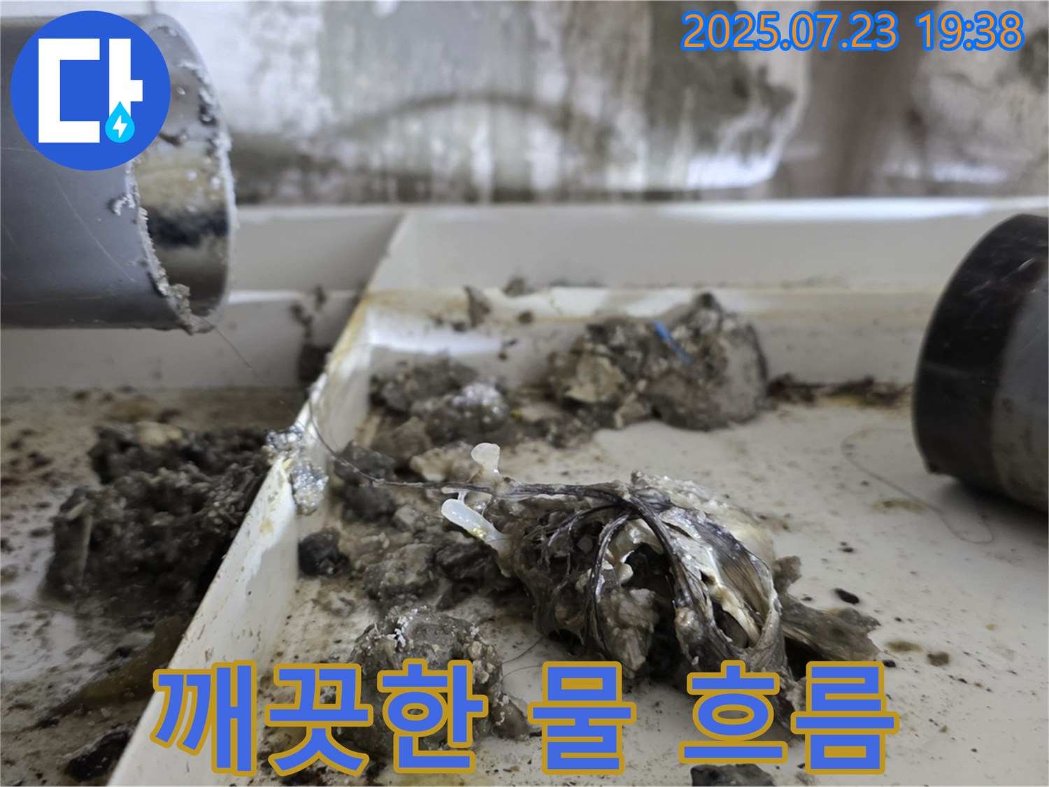 중계동 라이프청구신동아 아파트 - 배수관 속 찌꺼기 완벽 제거 후 시원하게 흐르는 물
