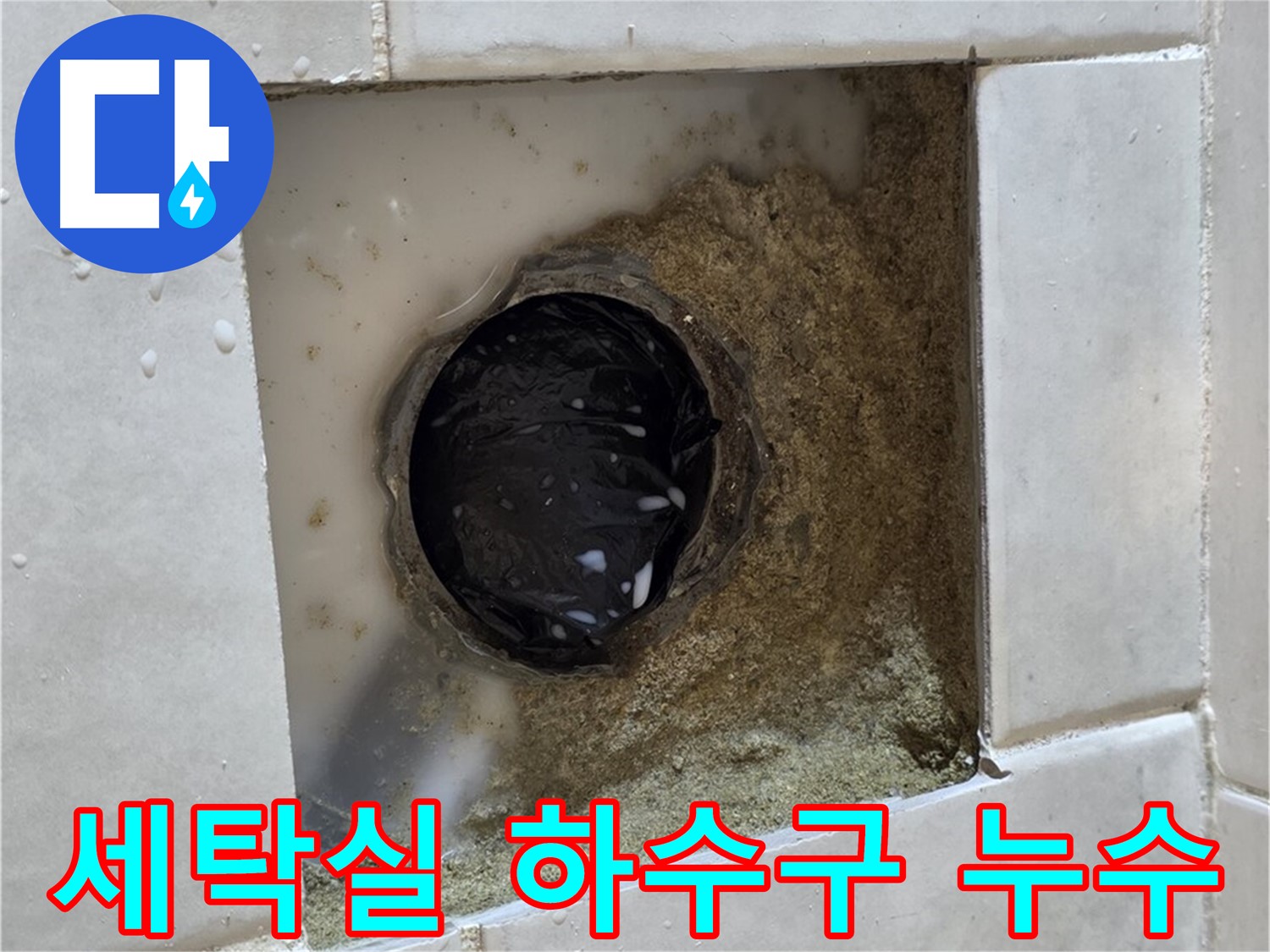 과천 문원동 세탁실 하수구 누수 - 젖어있는 하수구 주변, 꼼꼼한 시공으로 완벽 해결