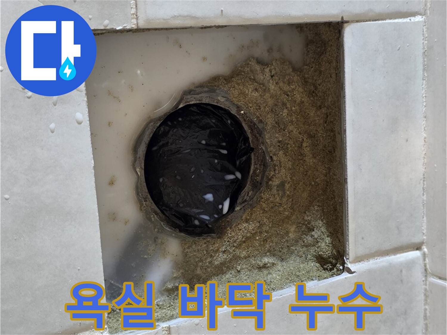 과천 문원동 욕실 바닥 누수 - 낡은 배수구 주변의 물 고임, 완벽한 방수 시공으로 해결
