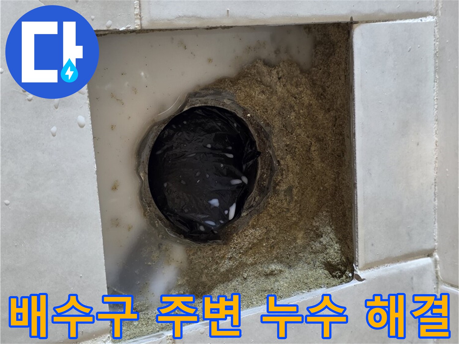 과천 문원동 욕실 배수구 주변 누수 - 물이 고여있는 배수구, 신속하고 정확하게 해결