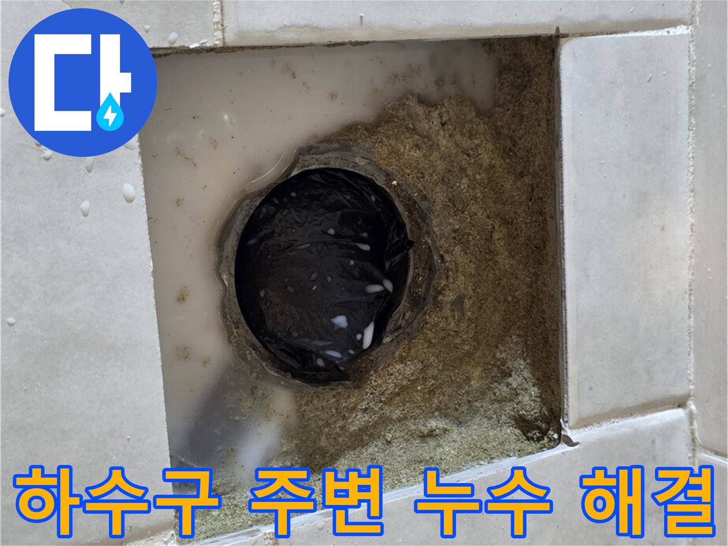 과천 문원동 욕실 하수구 주변 누수 - 물이 고여있는 하수구, 신속하고 정확하게 해결