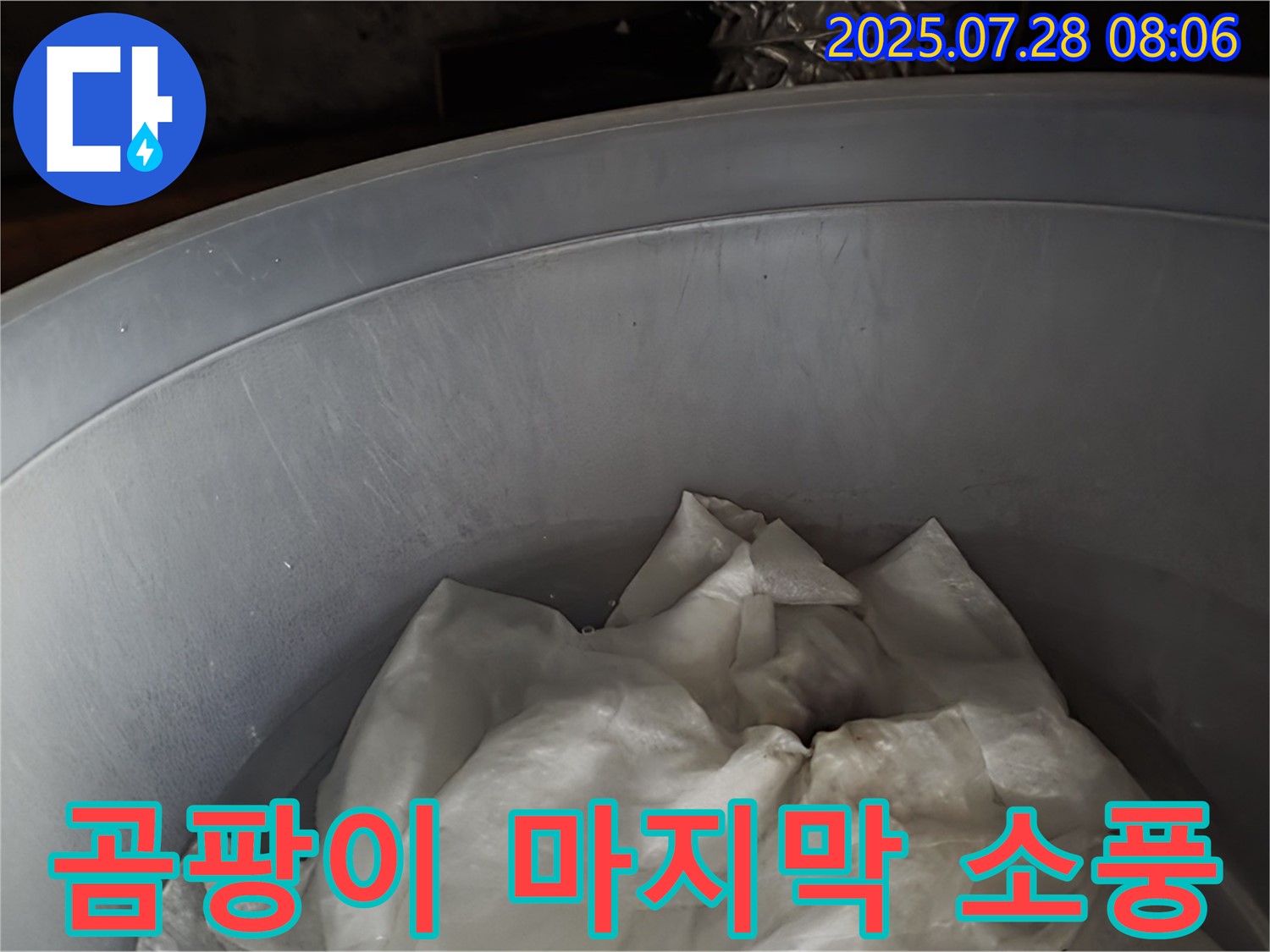 끝나지 않는 누수 - 양동이 속 젖은 휴지, 곰팡이 왕국 마지막 소풍! 저희가 깨끗하게 마무리해 드리겠습니다.