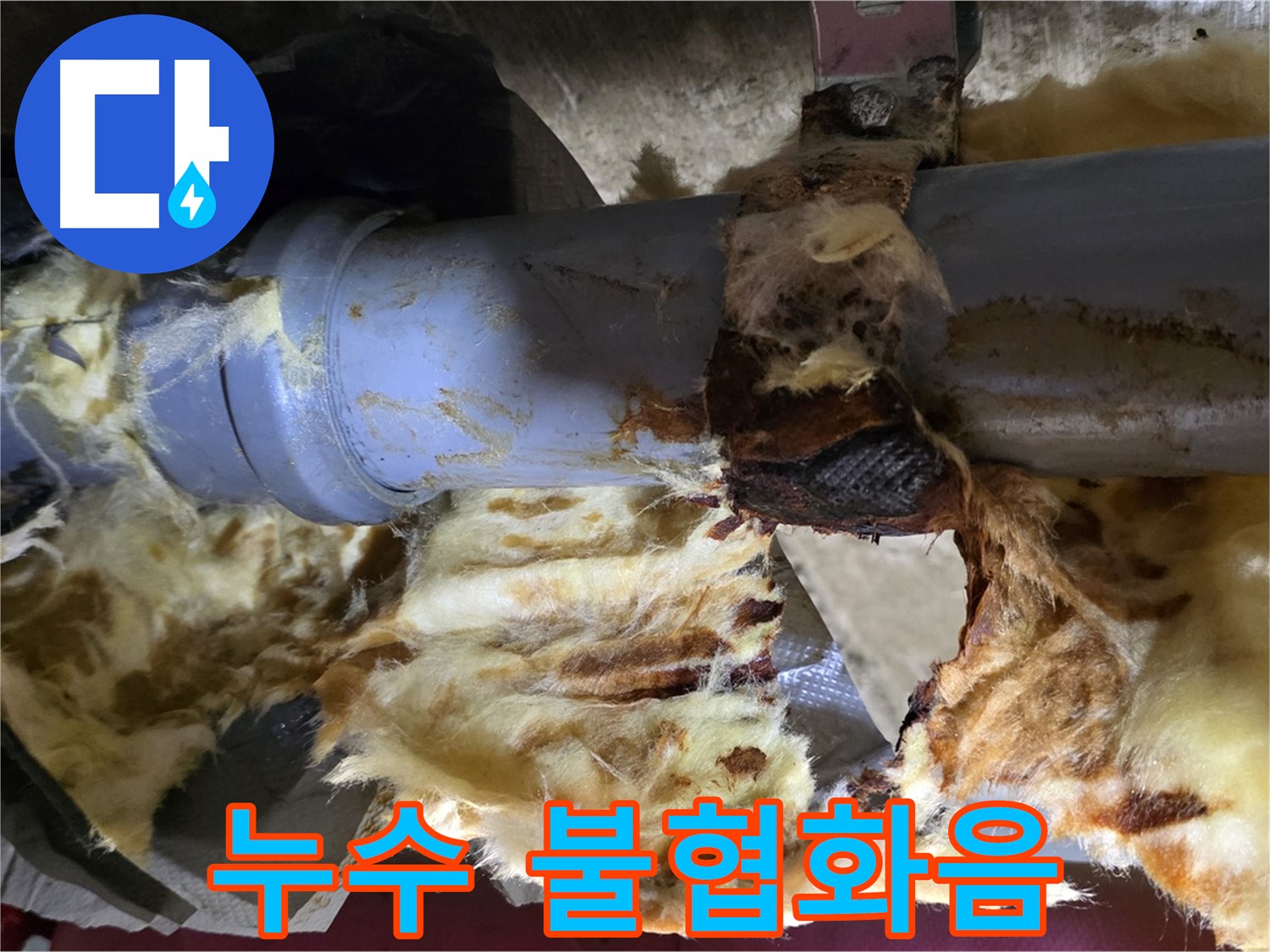 남양주 화도읍 두산아파트 누수 - 낡은 배관에서 누수가 발생하고 곰팡이가 피어난 불협화음의 현장입니다.