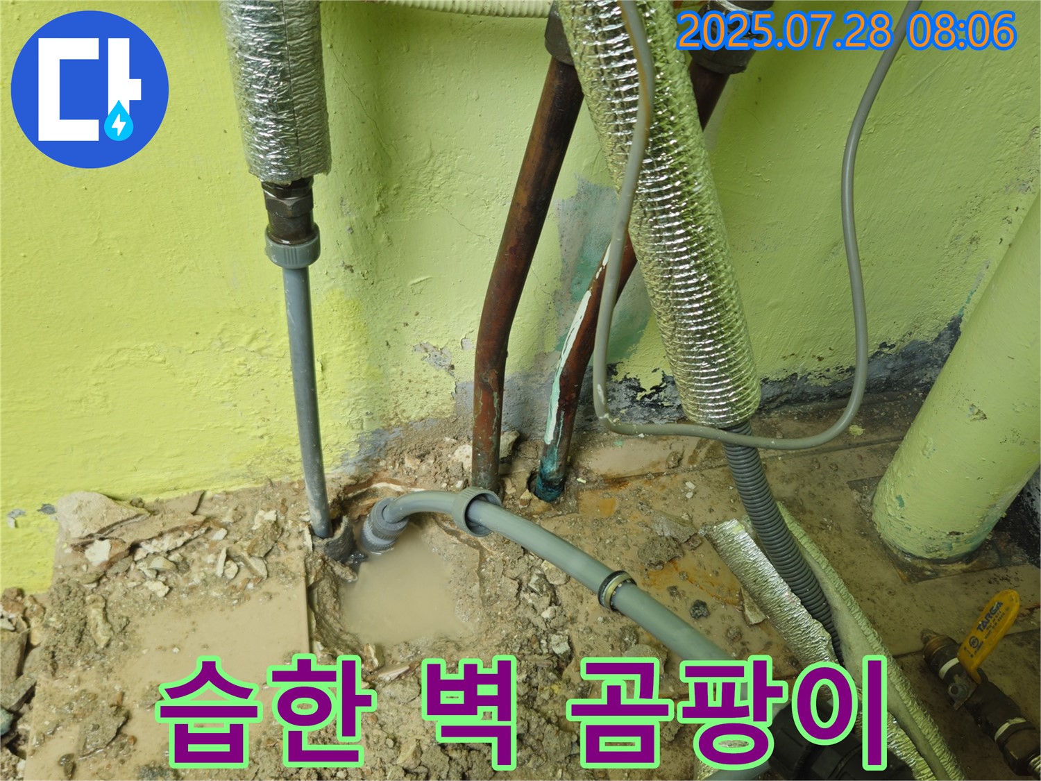 남양주 화도읍 창현리 두산아파트 누수 - 습한 벽 - 곰팡이 번식 시작!
