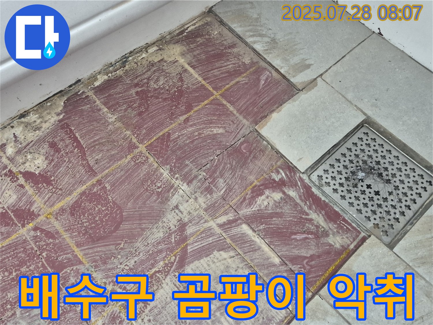 두산아파트 욕실 - 붉은 타일 부분 철거 후 드러난 배수구 주변의 곰팡이와 물때 - 악취까지