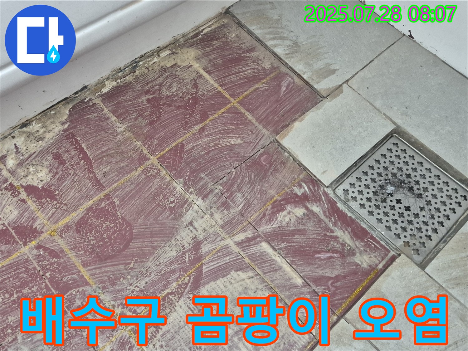 두산아파트 욕실 - 붉은 타일 부분 철거 후 드러난 배수구 주변의 곰팡이와 오염