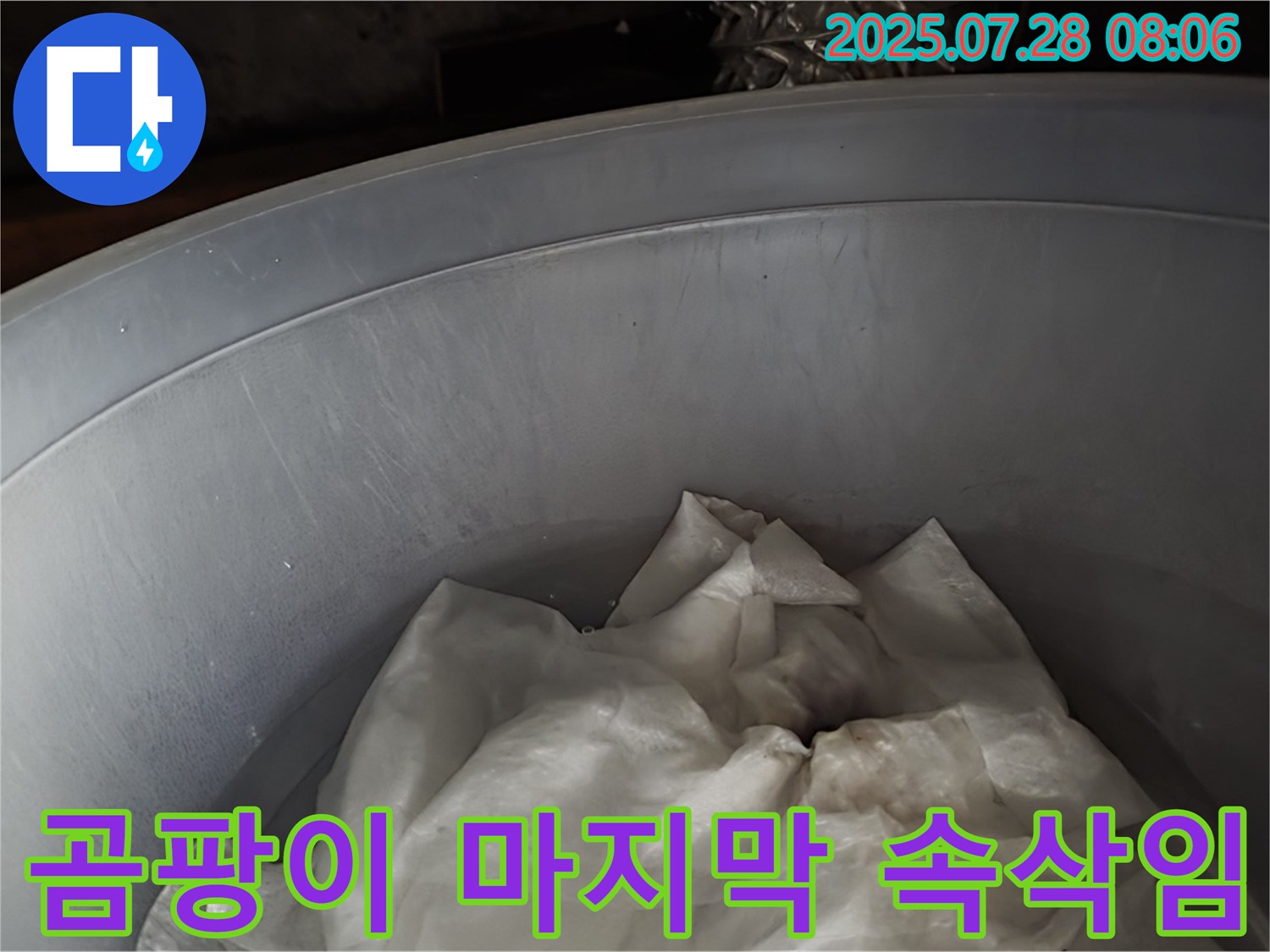 빗물 누수 - 양동이 속 젖은 휴지, 곰팡이 왕국 마지막 속삭임! 이제 전문가가 침묵을 드립니다.