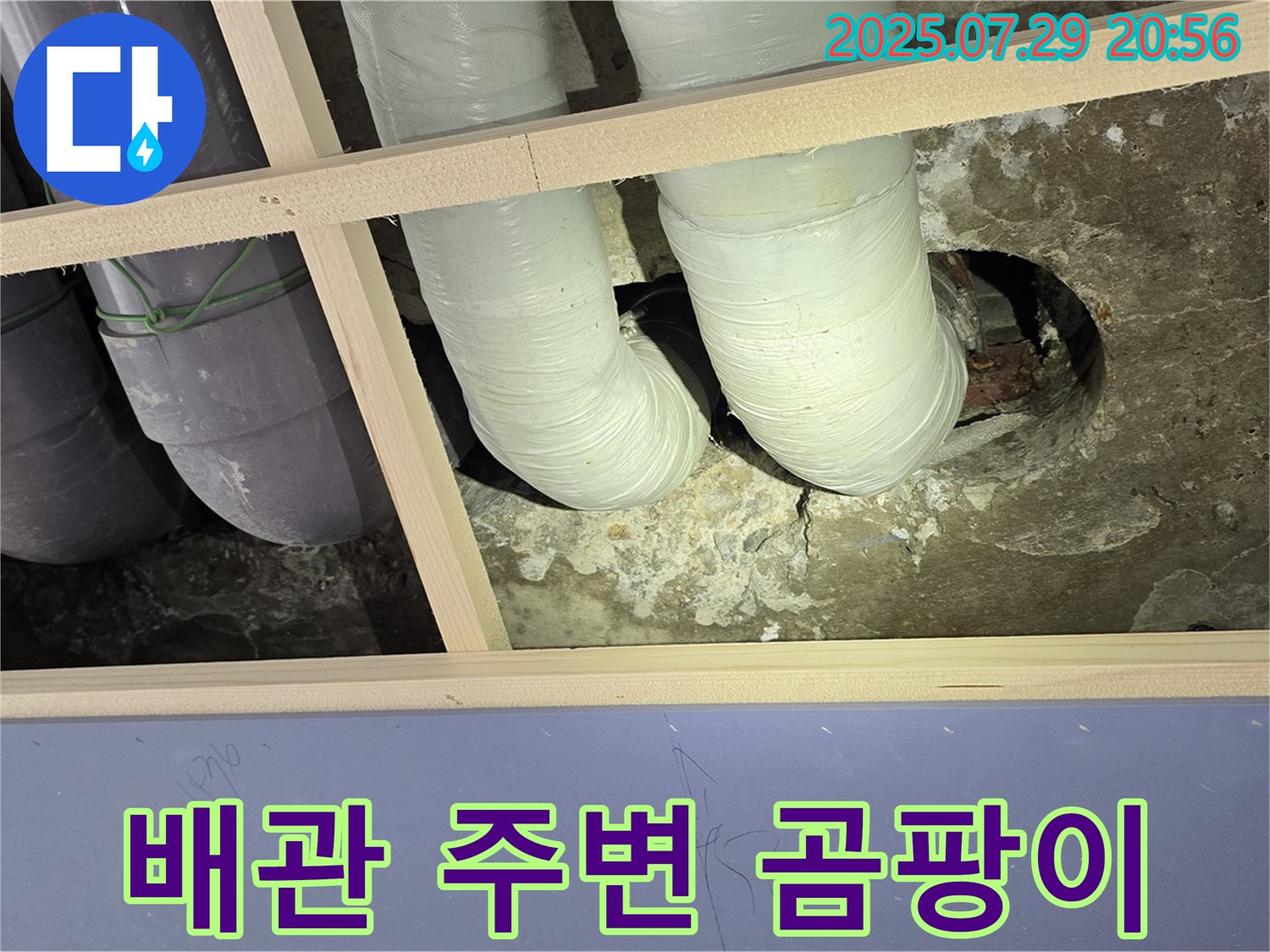 방배동 판테옹빌라 배관 주변 곰팡이 발견 - 습기 제거와 누수 해결이 중요