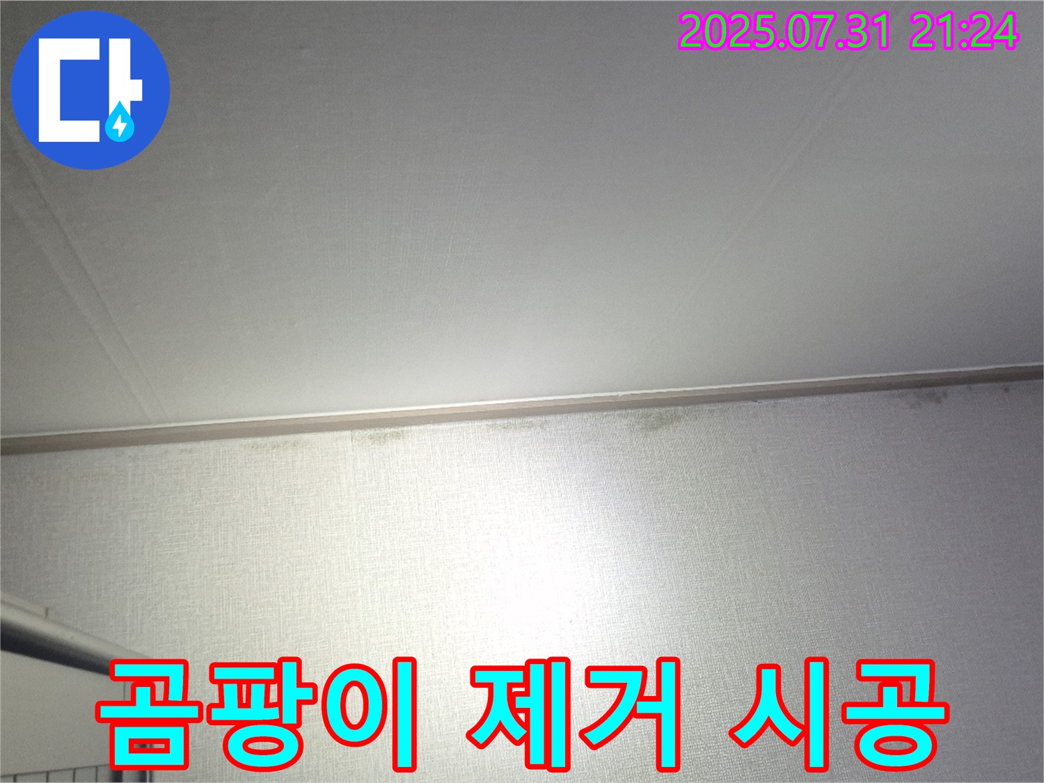고양시 덕양구 곰팡이 핀 벽 - 곰팡이 제거 후 쾌적한 공간으로 변신!
