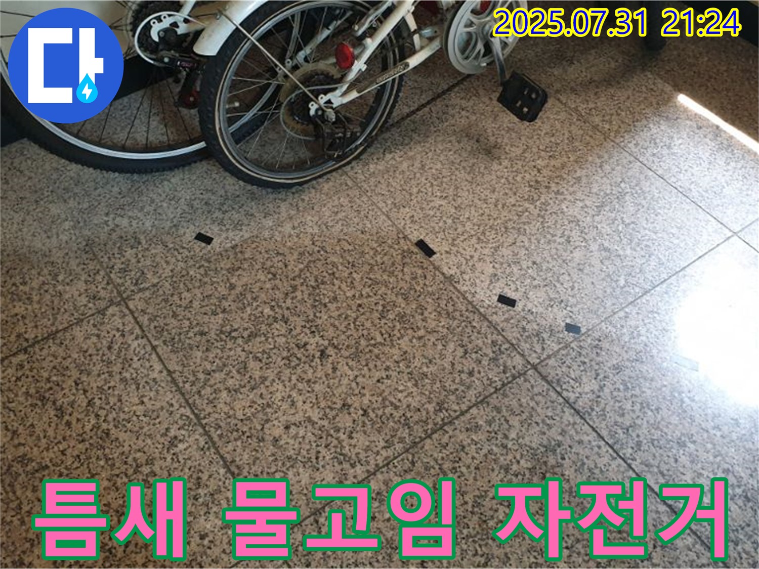 고양시 덕양구 동산동 누수 - 타일 틈새에 물이 고여있는 것은 누수가 진행 중임을 명확히 보여주며, 자전거 옆이라 더욱 세심한 관찰이 필요합니다