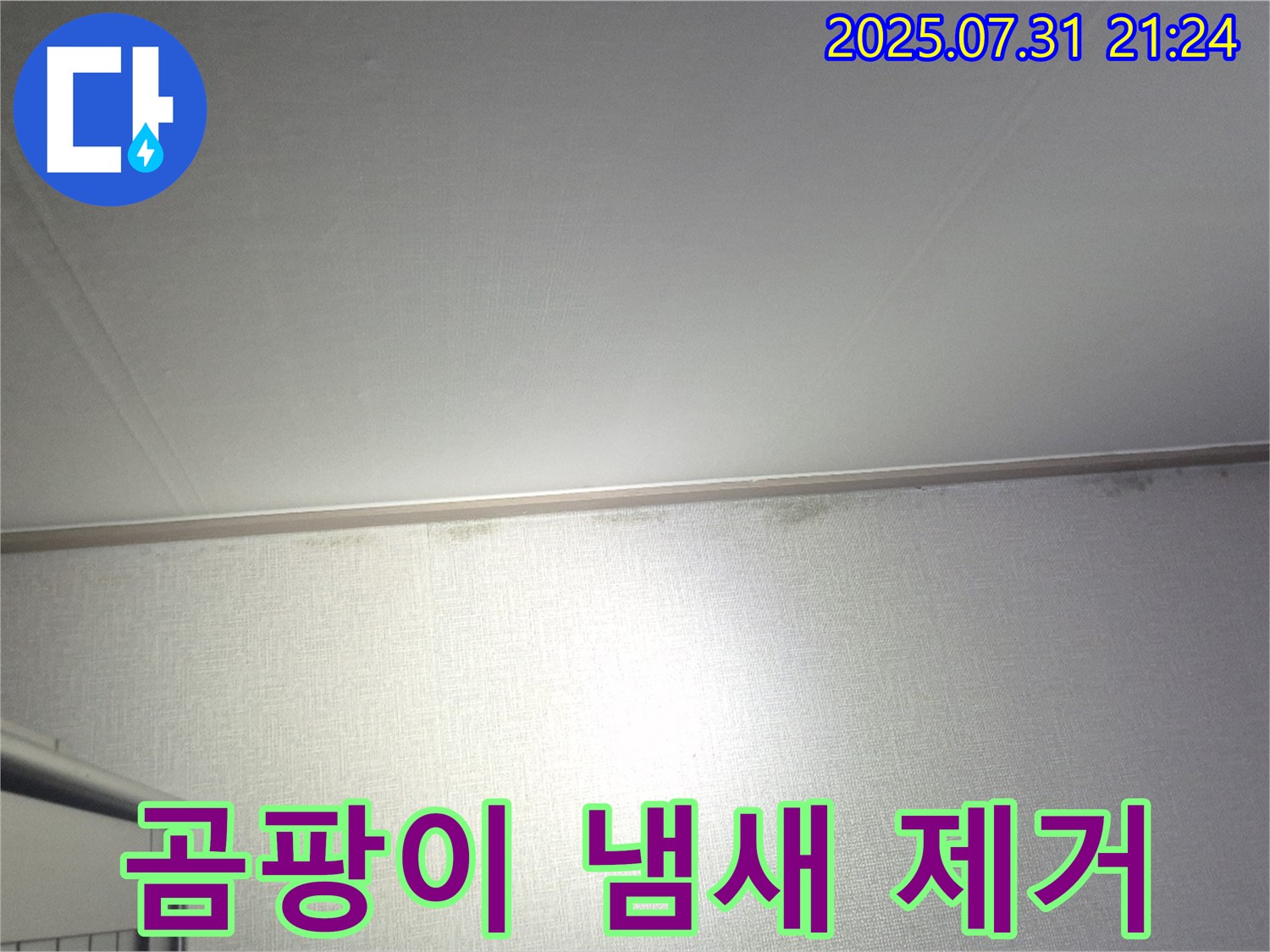 고양시 덕양구 벽 누수 - 곰팡이 냄새 제거 및 재발 방지 시공