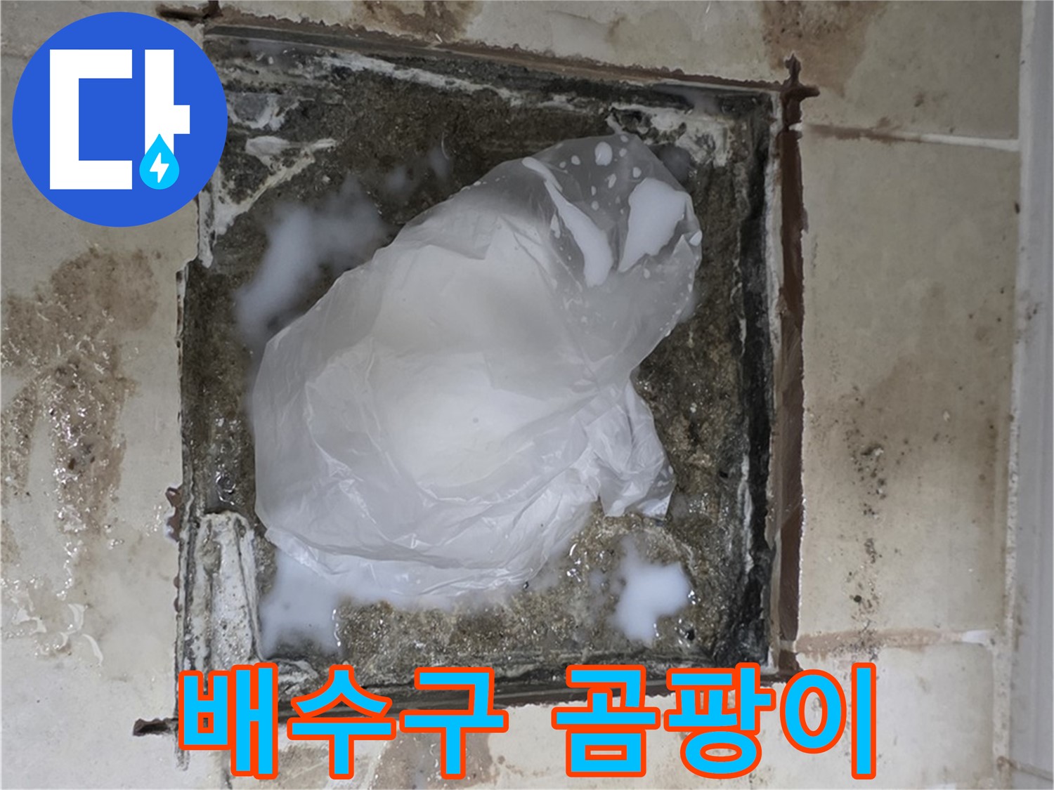 고양시 덕양구 욕실 바닥 누수 - 배수구 주변 곰팡이 발생 확인