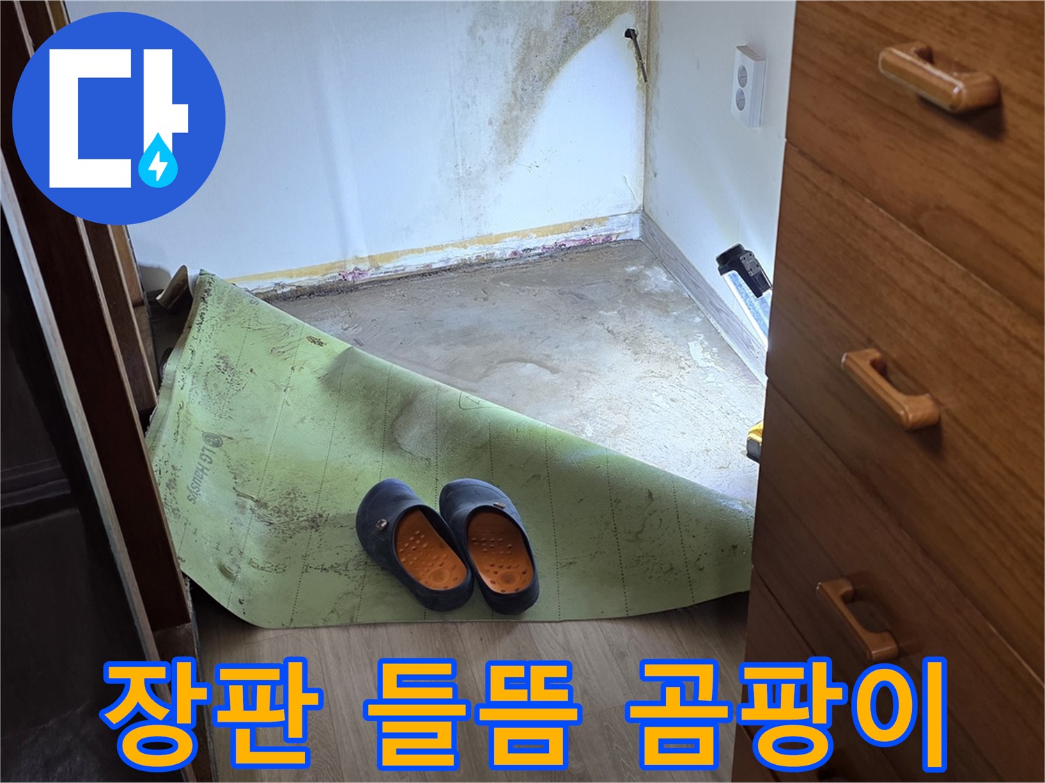 장판 들뜸과 곰팡이 - 습기 찬 환경의 증거