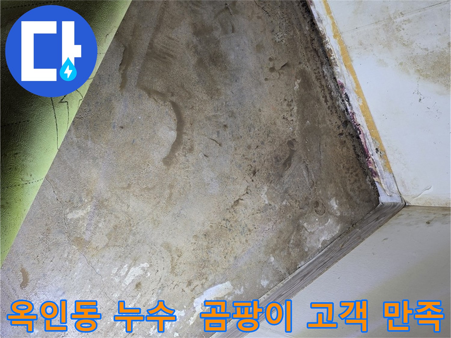 장판 밑 곰팡이 - 옥인동 곰팡이 문제 해결 후 고객 만족