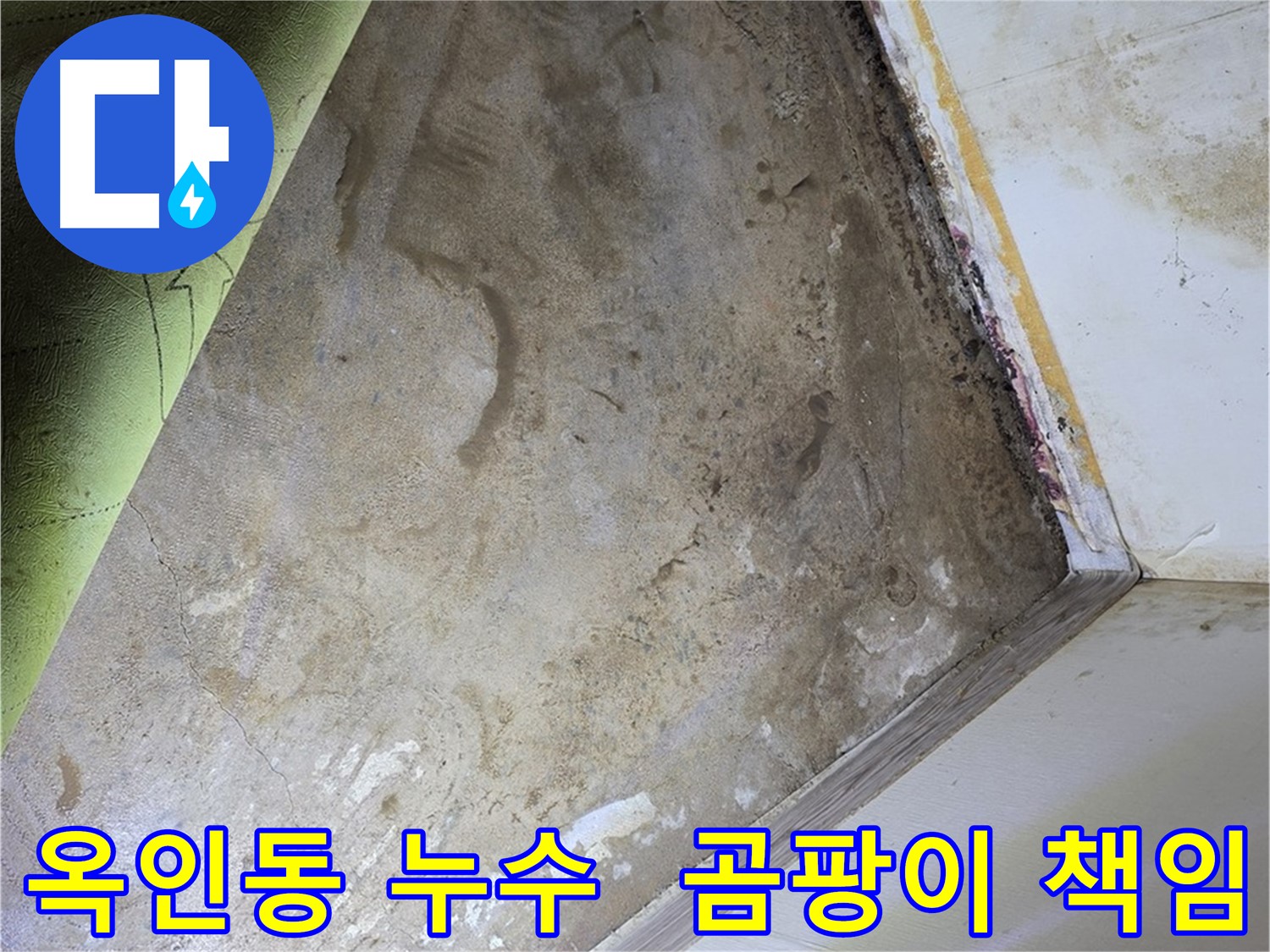 장판 밑 곰팡이 - 옥인동 누수 탐지부터 곰팡이 제거까지