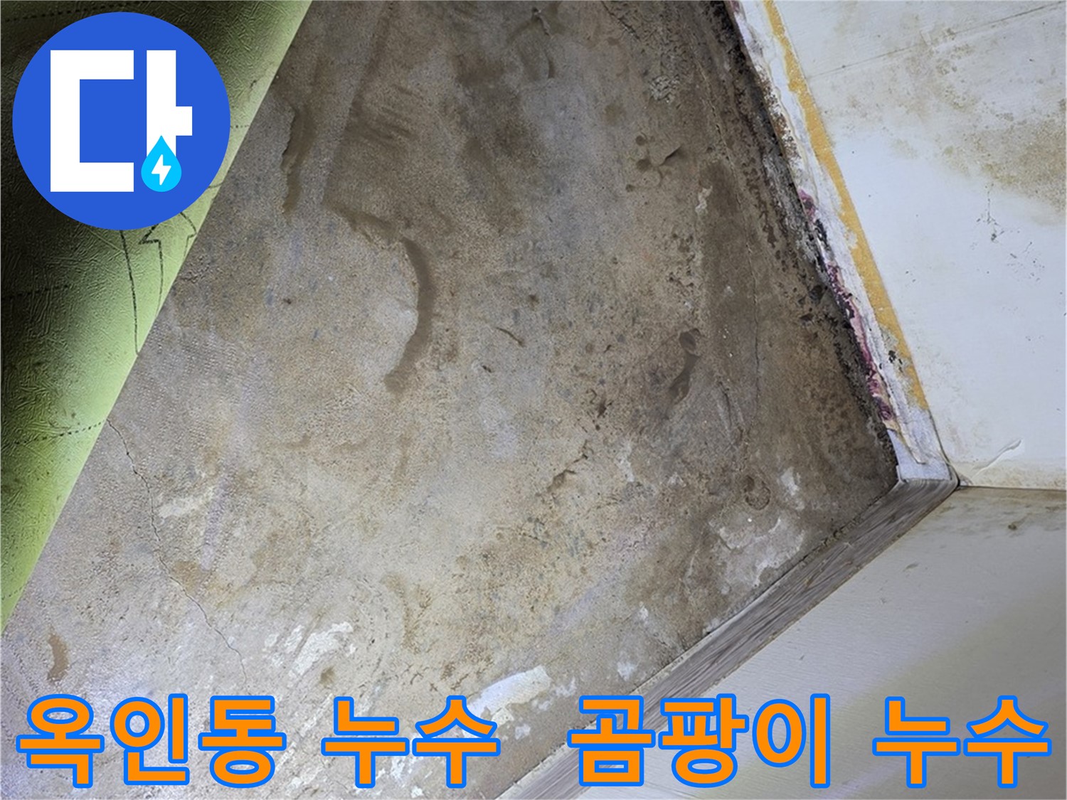 장판 밑 곰팡이 - 옥인동 누수와 곰팡이 한 번에