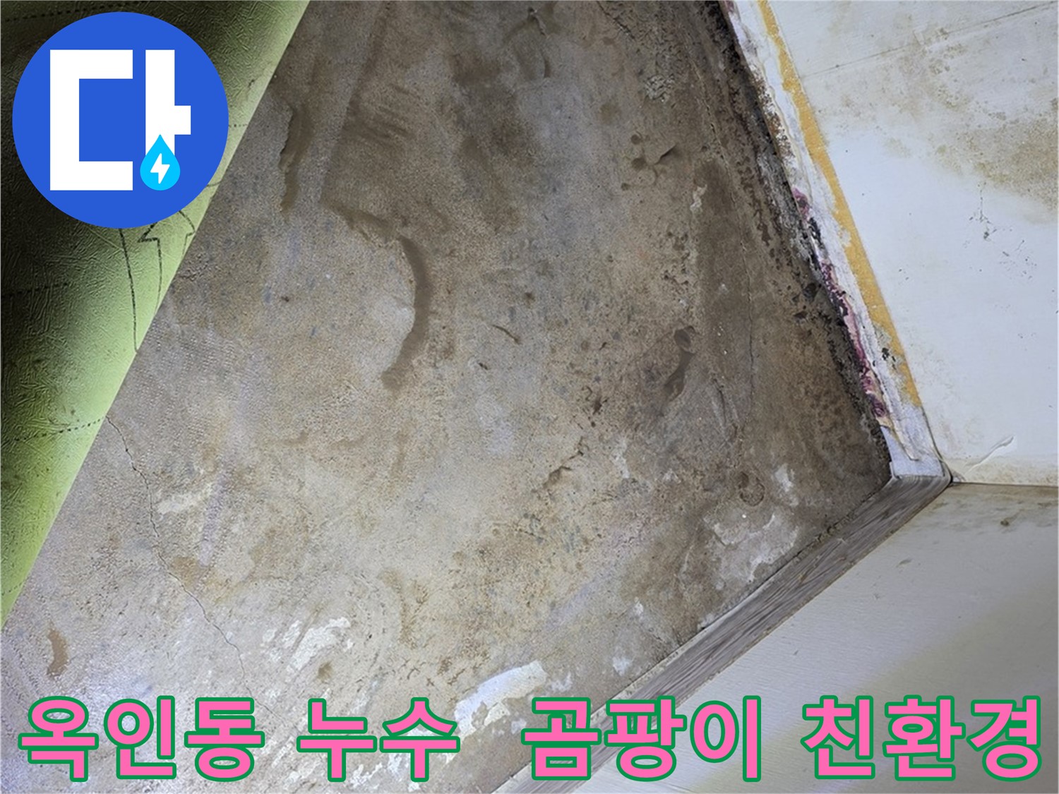 장판 밑 곰팡이 - 옥인동 친환경 약품 사용 안심 시공