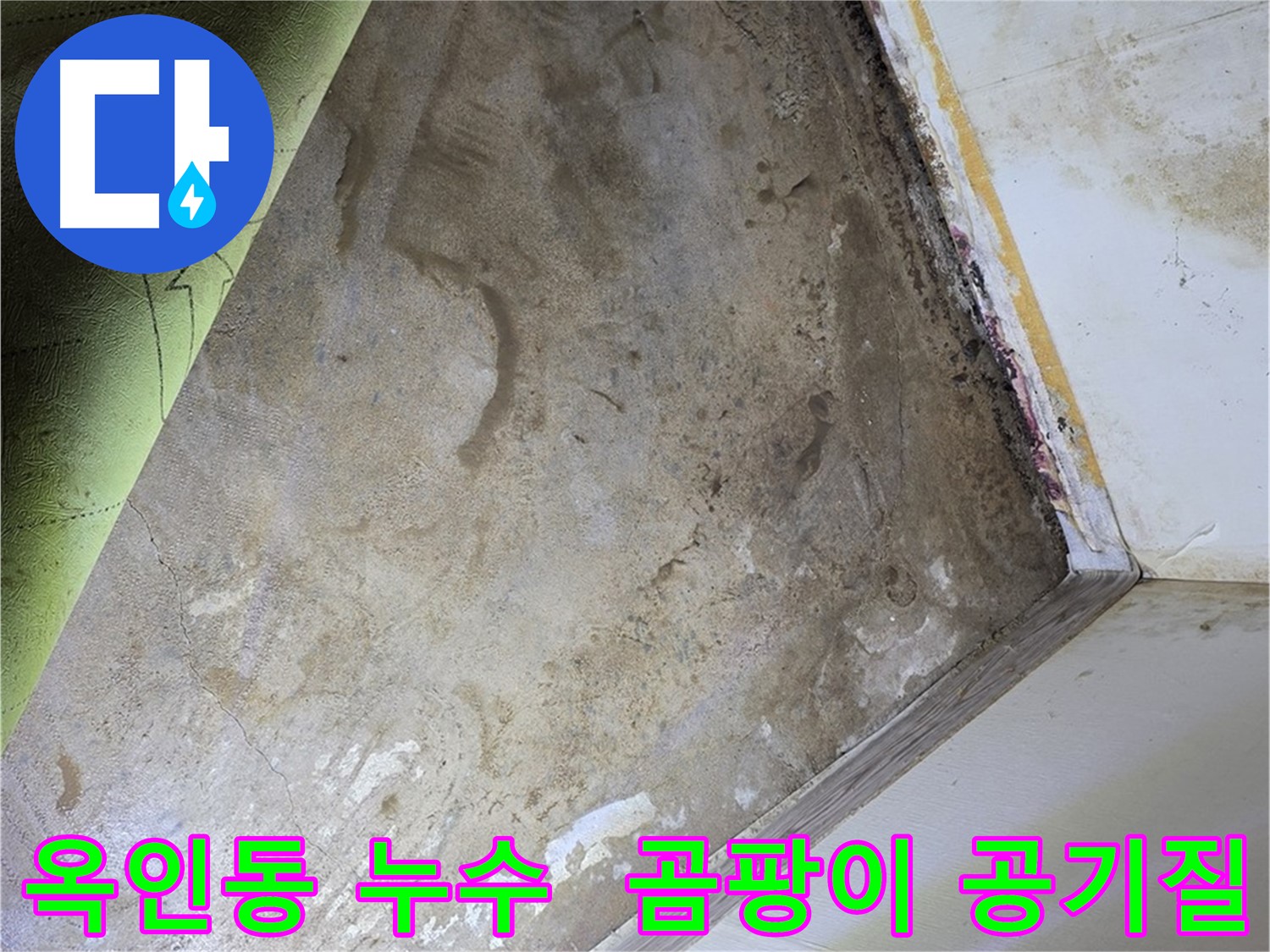 장판 밑 곰팡이 - 옥인동 쾌적한 실내 공기질 개선