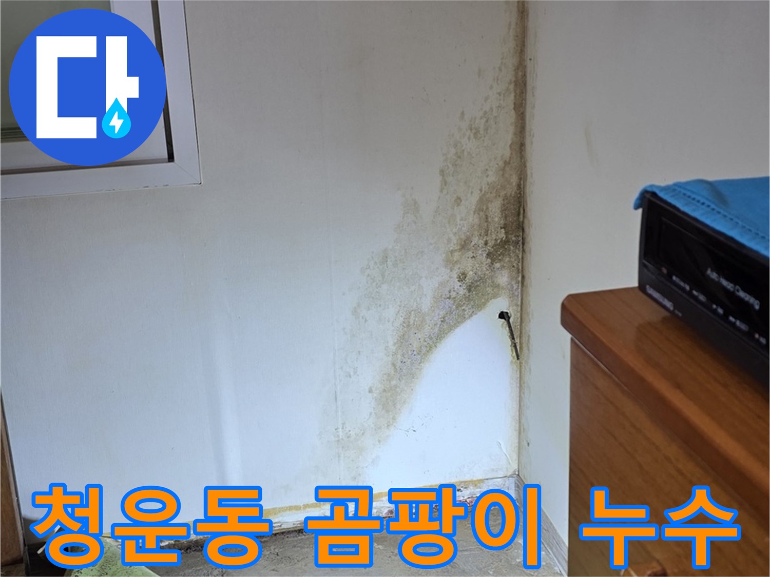 종로구 청운동 주택 벽 누수 발생 - 심각한 곰팡이 확산으로 인한 긴급 점검 및 복구 작업