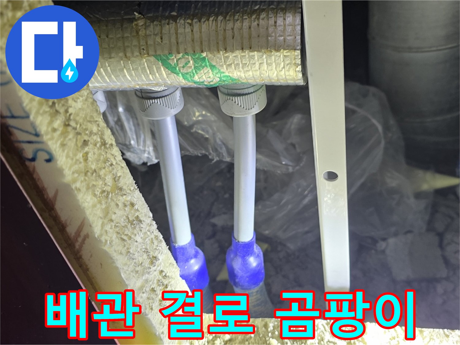 삼숭동 누수 예방 - 배관 주변 결로 발생 및 곰팡이 서식 가능성 사전 점검 꼼꼼 진행