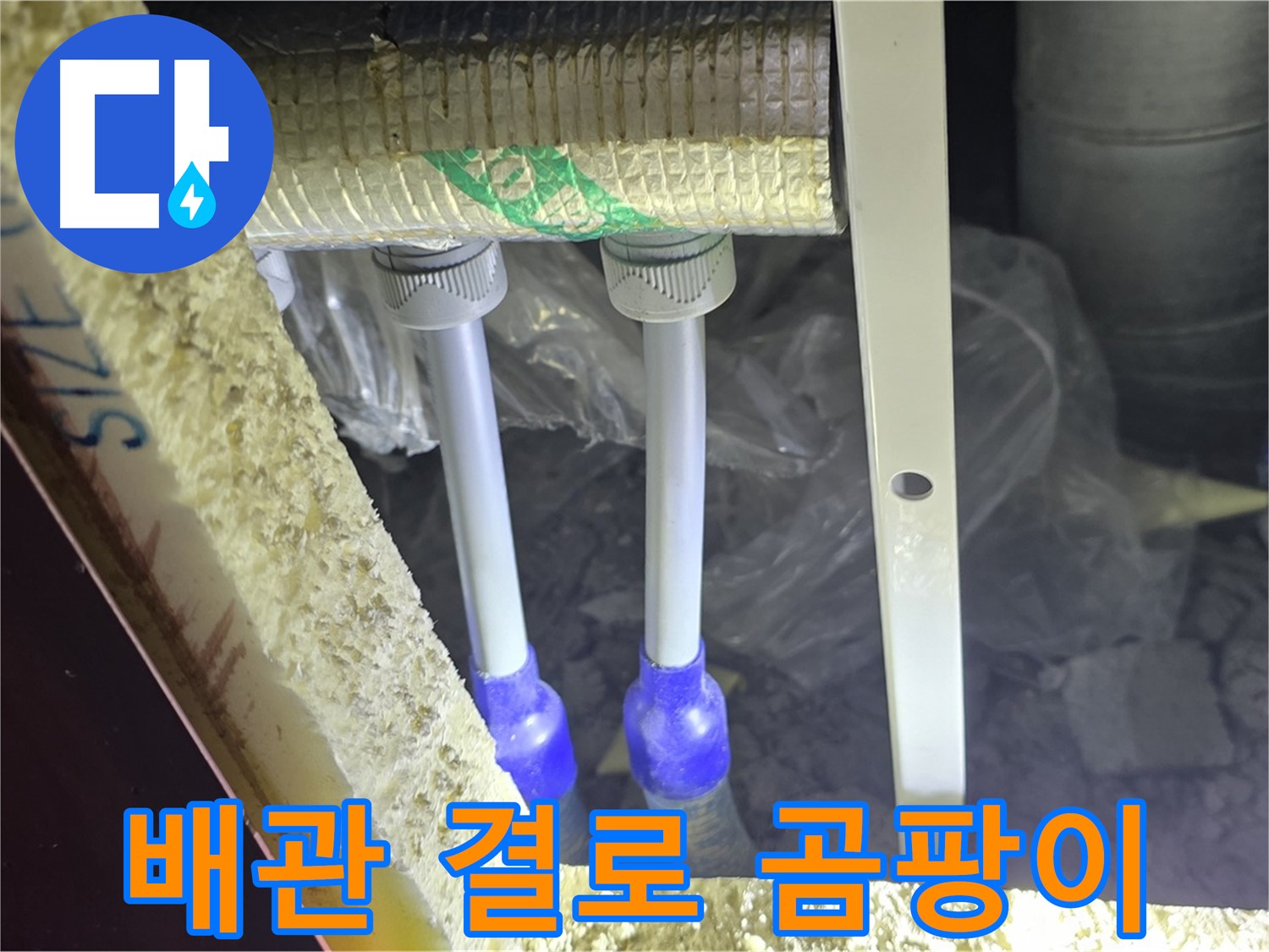 삼숭동 누수 예방 - 배관 주변 결로 발생 및 곰팡이 성장 환경 사전 점검 철저 진행