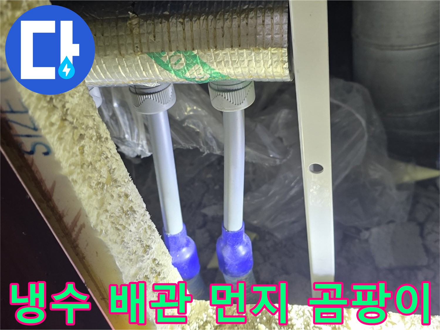 삼숭동 양주자이 누수 - 냉수 배관 연결 부위 주변 먼지 뭉침 및 곰팡이 초기 발생 여부 집중 검사