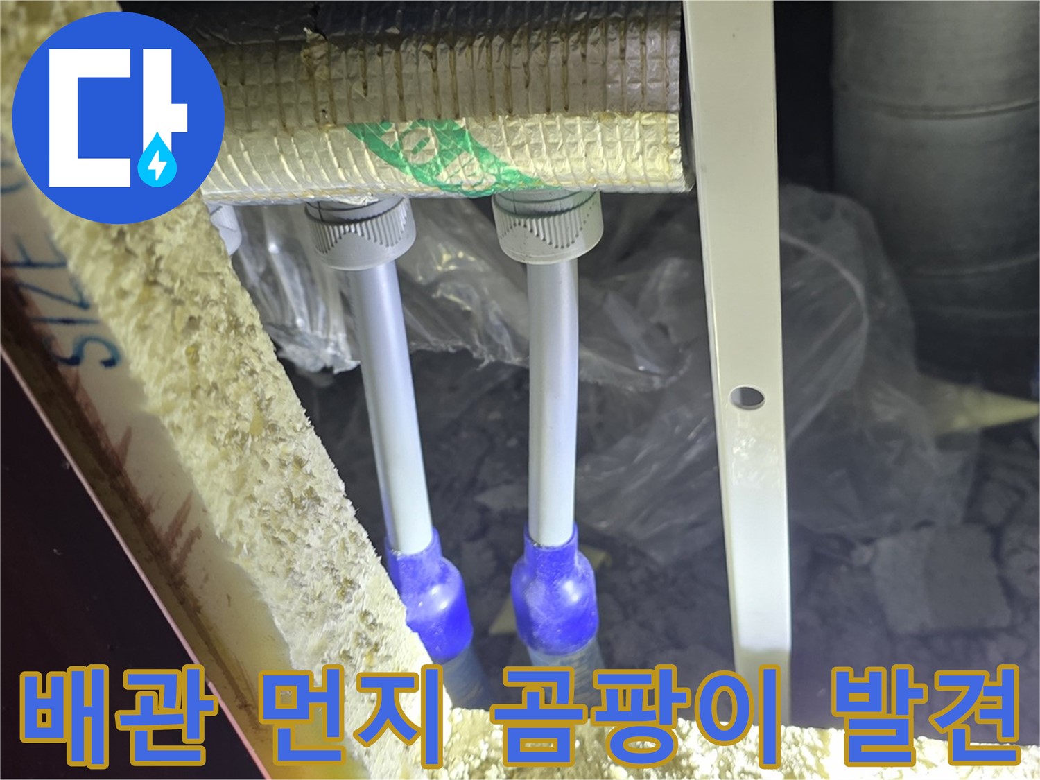 삼숭동 양주자이 누수 - 배관 연결 부위 주변 먼지 뭉침 및 곰팡이 흔적 초기 발견
