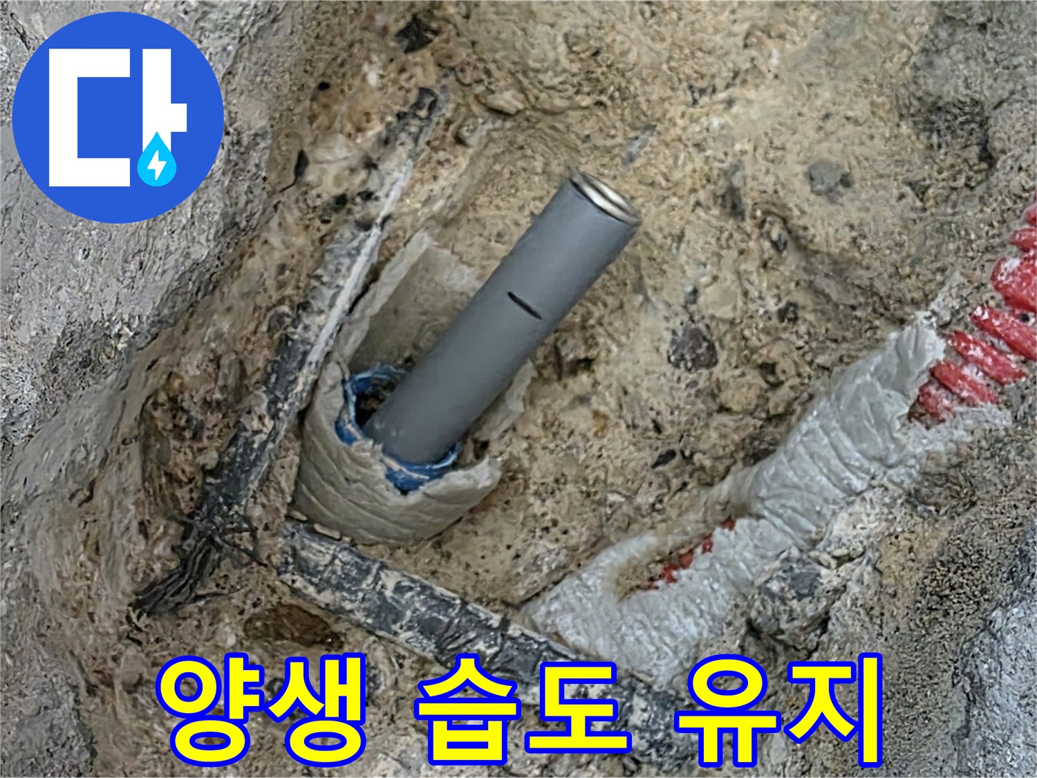 양주 누수 - 시멘트 양생 전 물 뿌림 작업