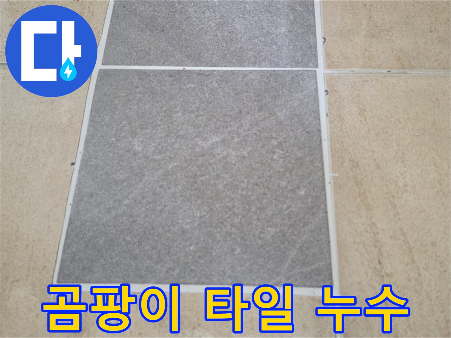 양주 삼숭동 아파트 - 곰팡이 발생과 타일 누수의 연관성을 확인하고 있습니다.