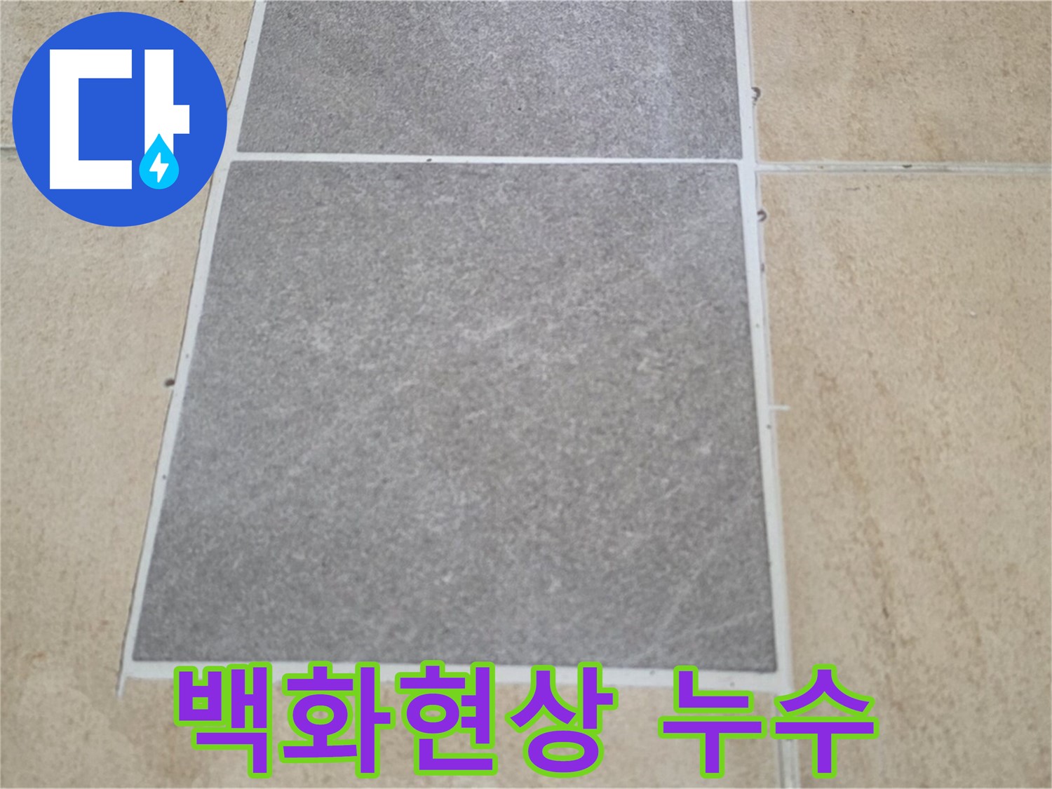 양주 삼숭동 아파트 - 교체된 타일 주변에 백화현상이 발생하여 누수 연관성을 확인하고 있습니다.