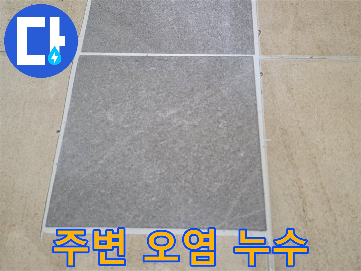 양주 삼숭동 아파트 - 교체된 타일 주변의 오염 상태를 확인하여 누수 연관성을 분석하고 있습니다.