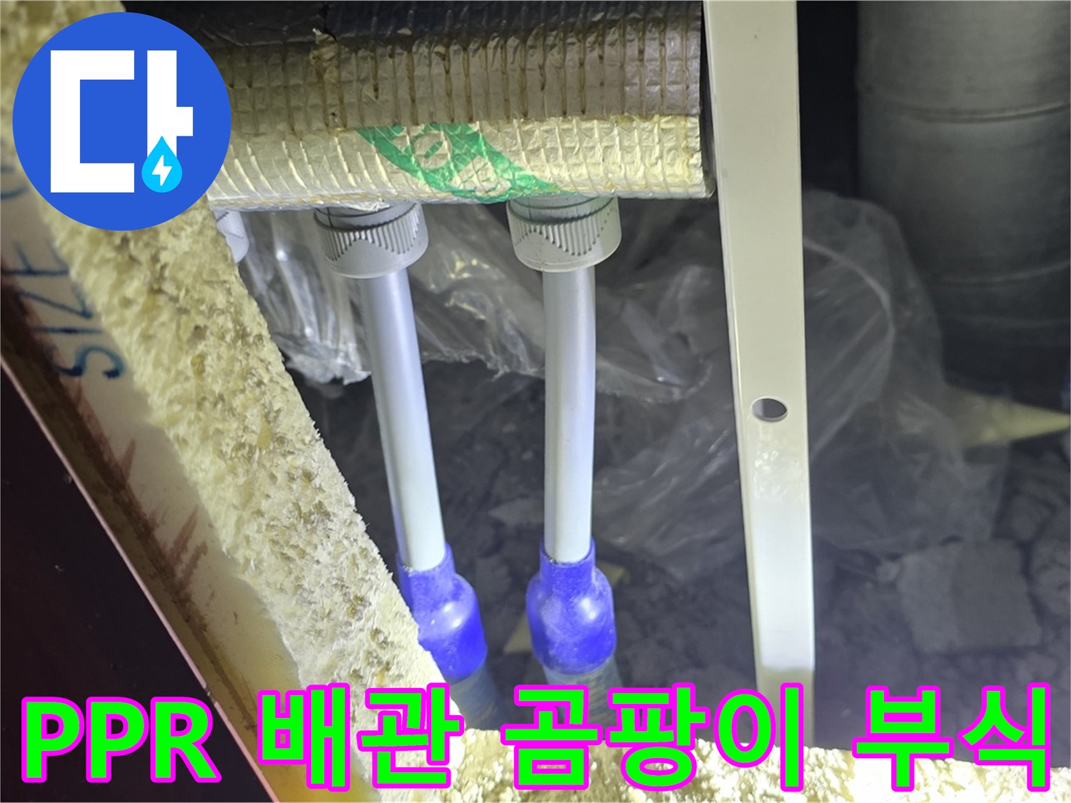 양주 삼숭동 아파트 누수 - PPR 배관 연결 부위 주변 곰팡이 발생 및 부식 여부 확인