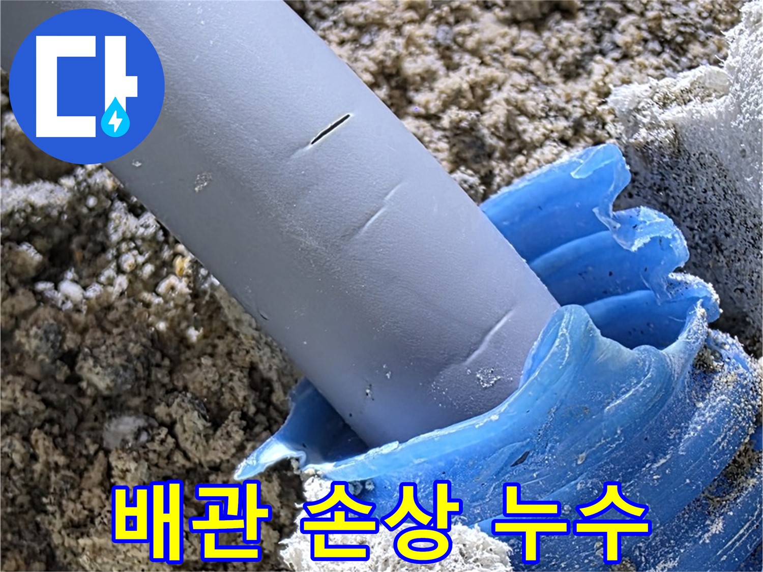양주 삼숭동 아파트 누수 - 배관 손상으로 인한 누수 발생 지점을 확인하고 있습니다 - 누수 원인 진단.