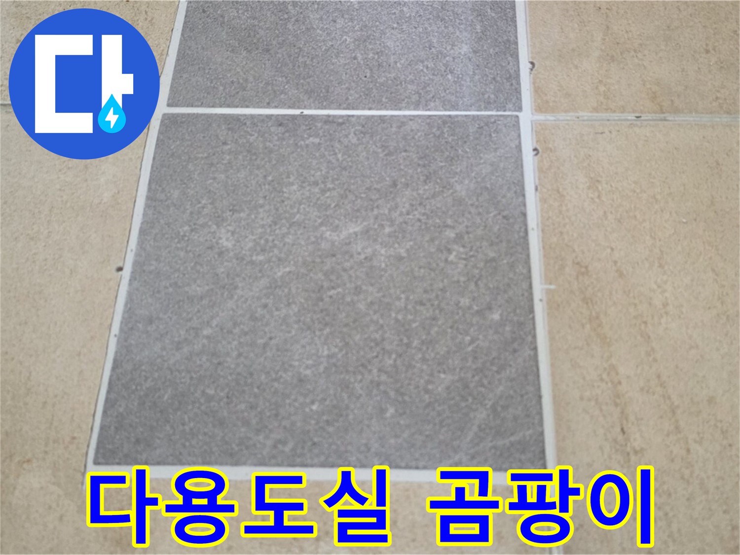 양주 삼숭동 아파트 - 다용도실 타일 곰팡이 발생 - 누수와의 관계를 분석하고 있습니다.