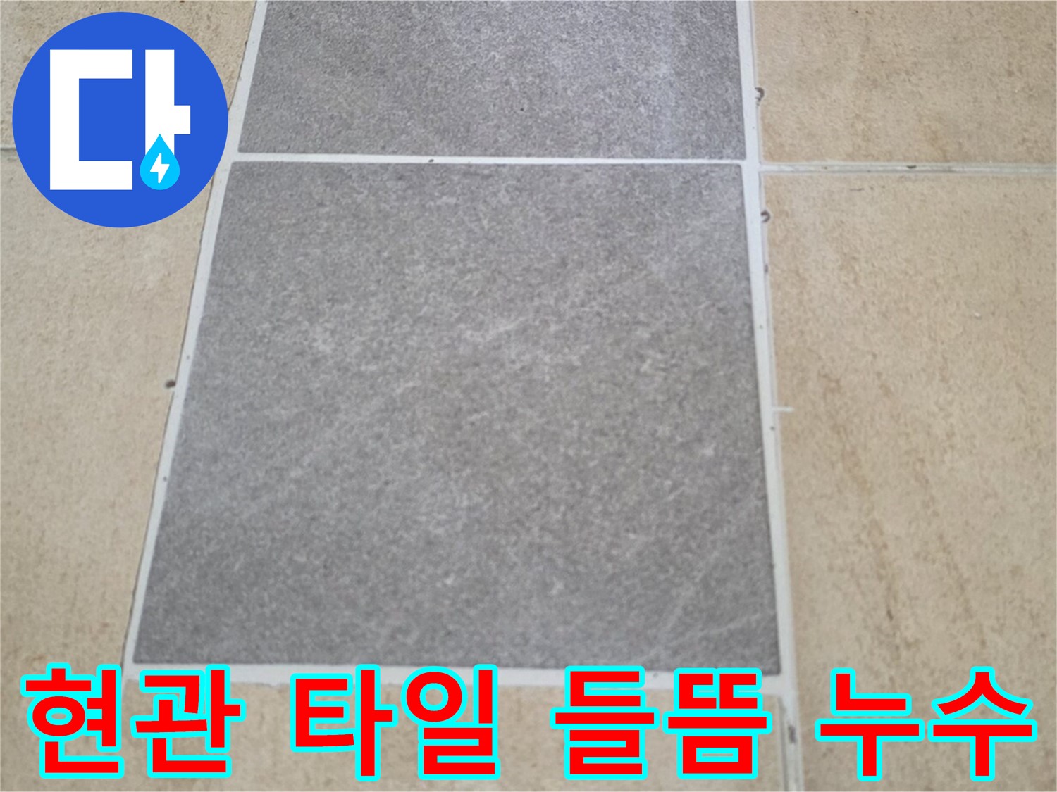 양주 삼숭동 아파트 - 현관 타일 들뜸과 신발장 주변 누수 여부를 확인하고 있습니다.