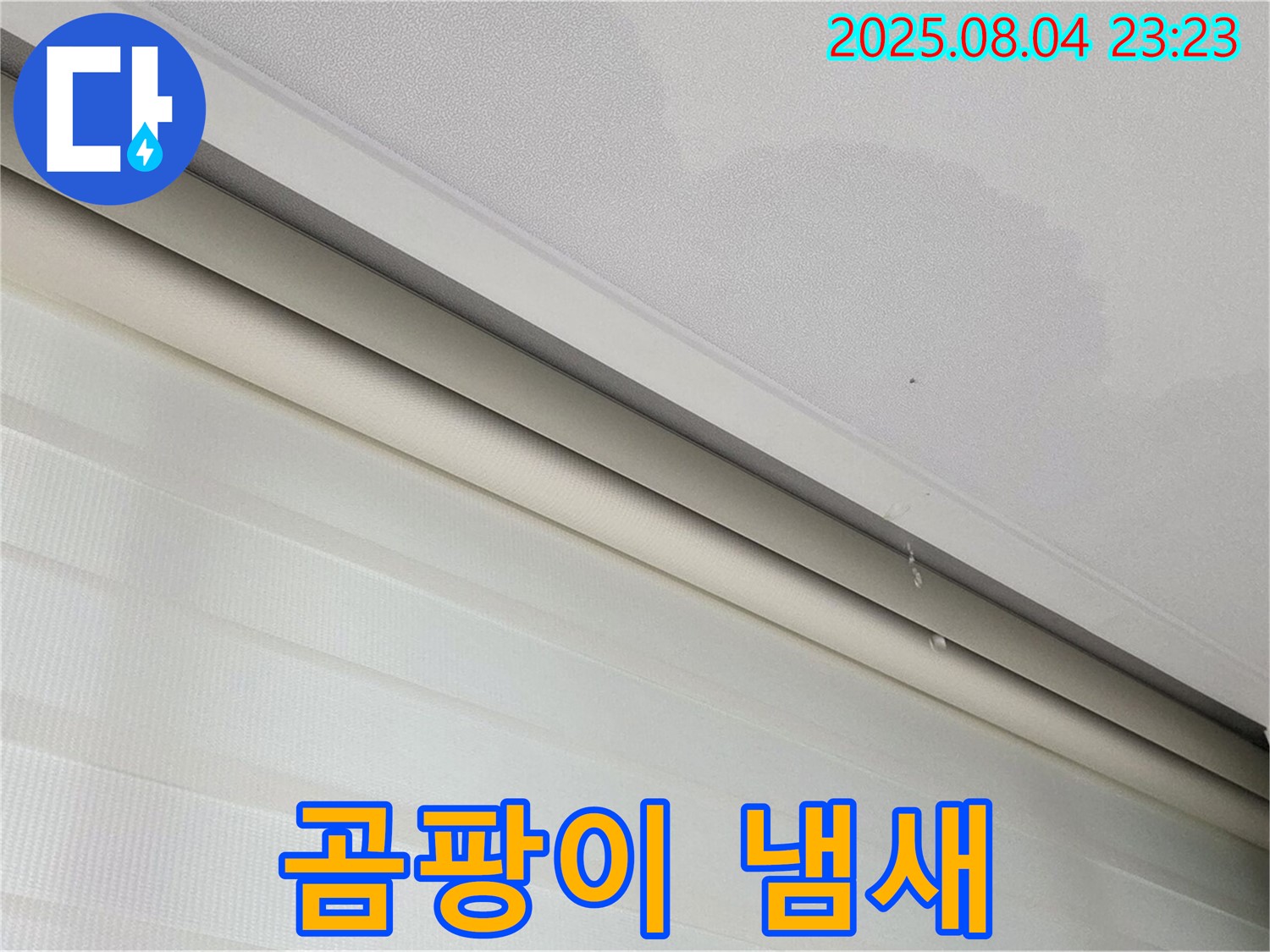 양주 삼숭동 자이아파트 107동 누수 - 천장 곰팡이 냄새, 누수를 의심해 보세요!