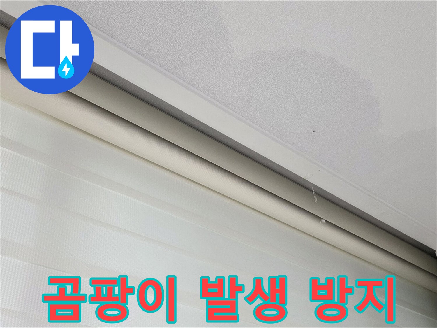 양주 삼숭동 자이아파트 107동 - 천장 누수 - 곰팡이 발생, 건강 위협, 철저한 누수 방지