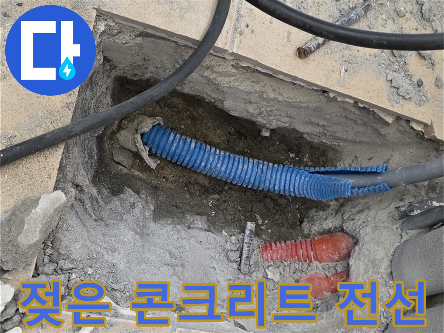 양주 삼숭동 자이아파트 누수 - 굴착 후 젖은 콘크리트 바닥과 꼬불한 파란 전선관이 보여요