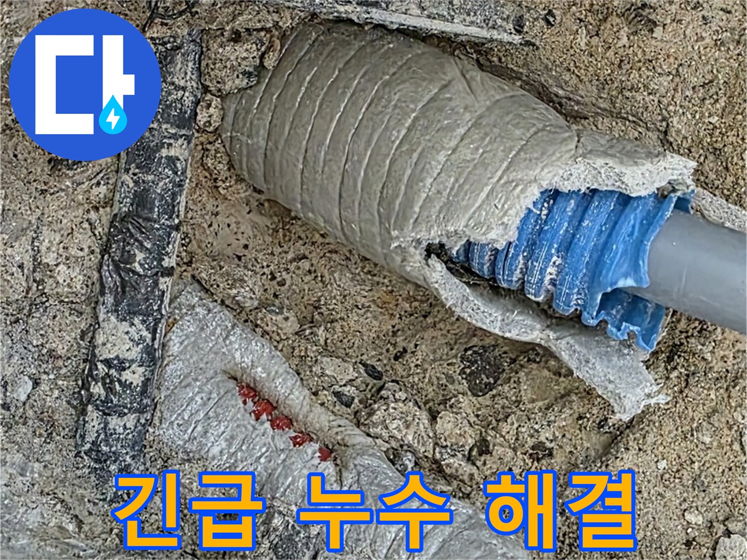 양주 삼숭동 자이아파트 누수 - 꼼꼼한 점검으로 고객 만족도를 높여드립니다 - 친절한 서비스