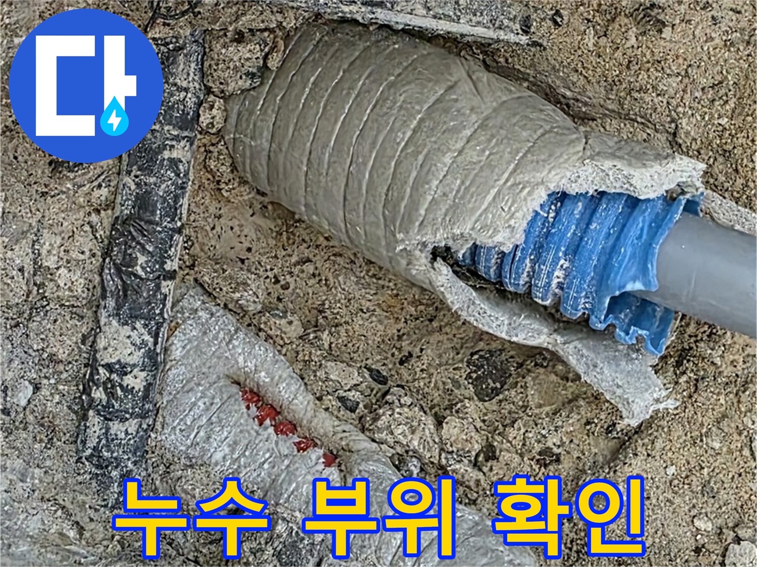 양주 삼숭동 자이아파트 누수 - 누수 발생 지점을 정확히 확인하고 보수 작업을 준비하는 모습입니다.