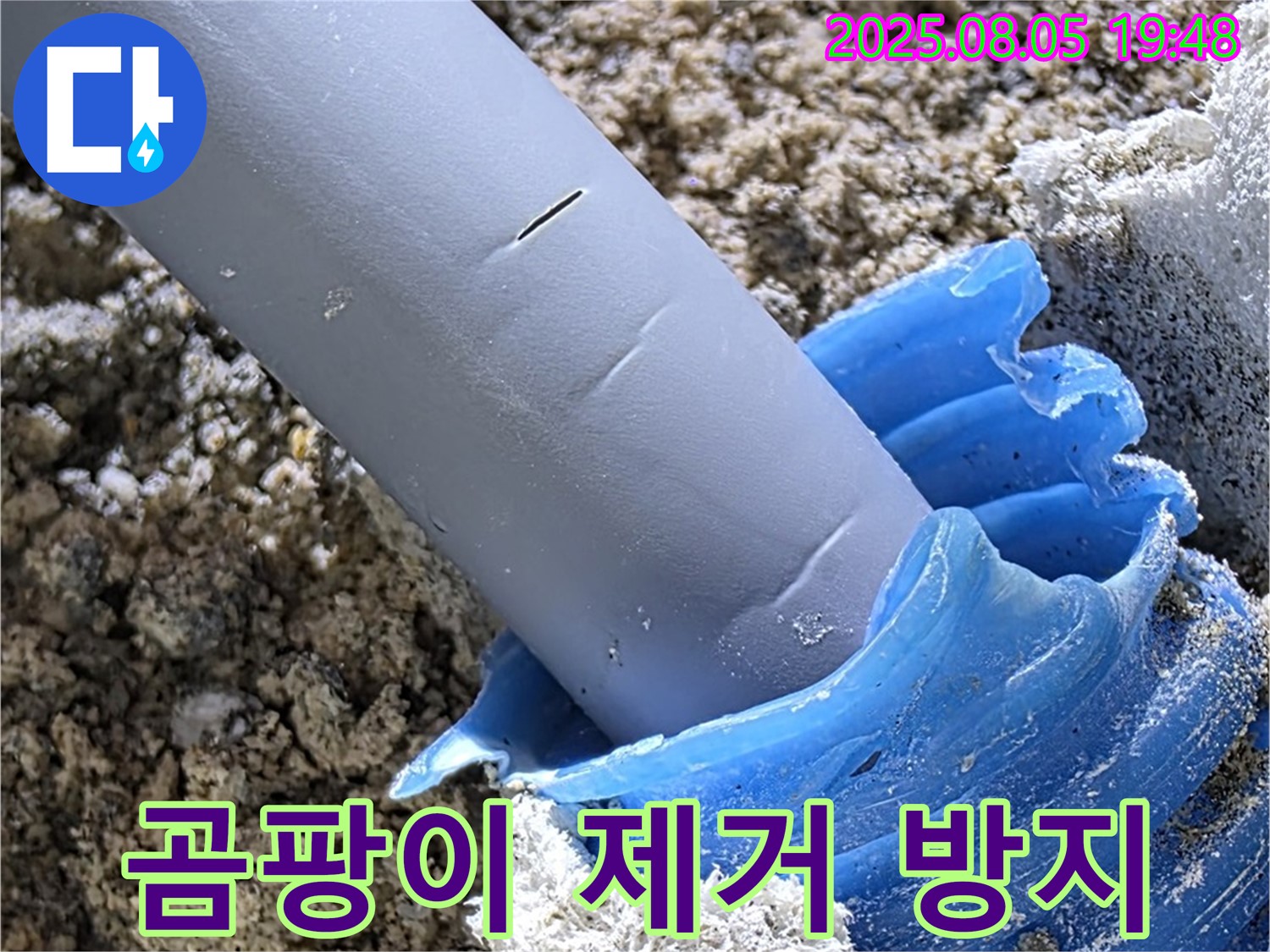 양주 삼숭동 자이아파트 누수 - 누수 부위 주변 곰팡이 제거 및 방지 작업