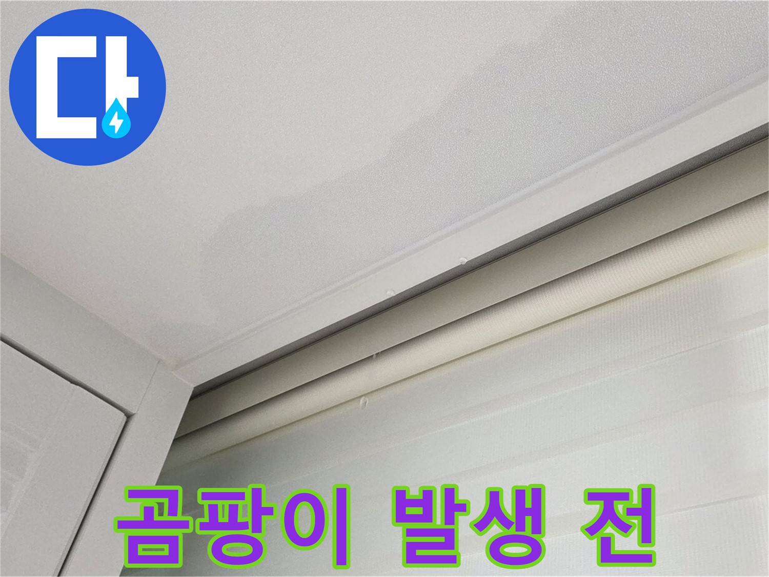 양주 삼숭동 자이아파트 천장 누수 - 곰팡이 발생 전 누수 흔적 발견
